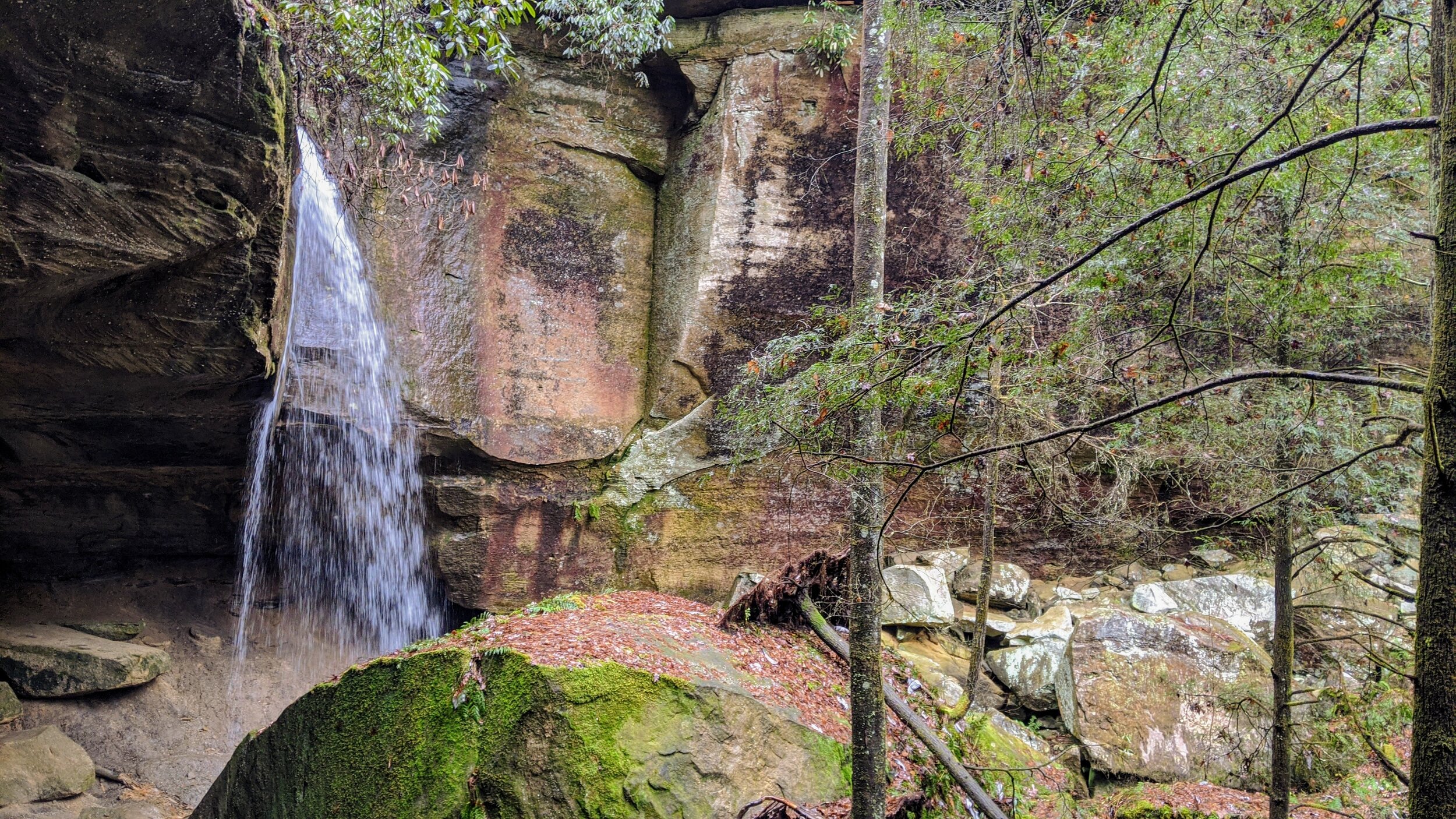 Whittleton Arch Falls from Left Approach - Kentucky Hiker Project.jpg