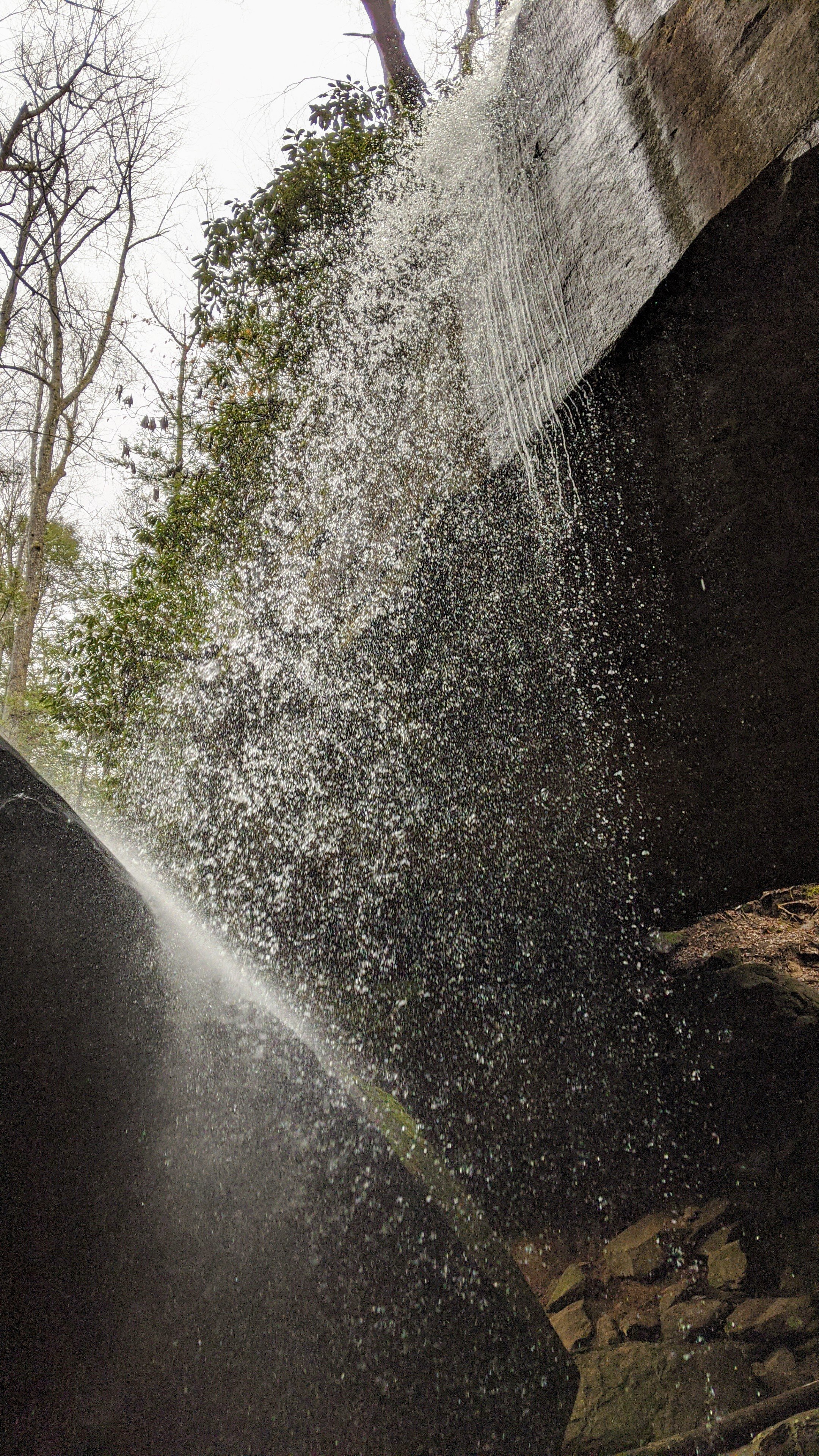 Looking Up at Whittleton Arch Falls - Kentucky Hiker Project.jpg