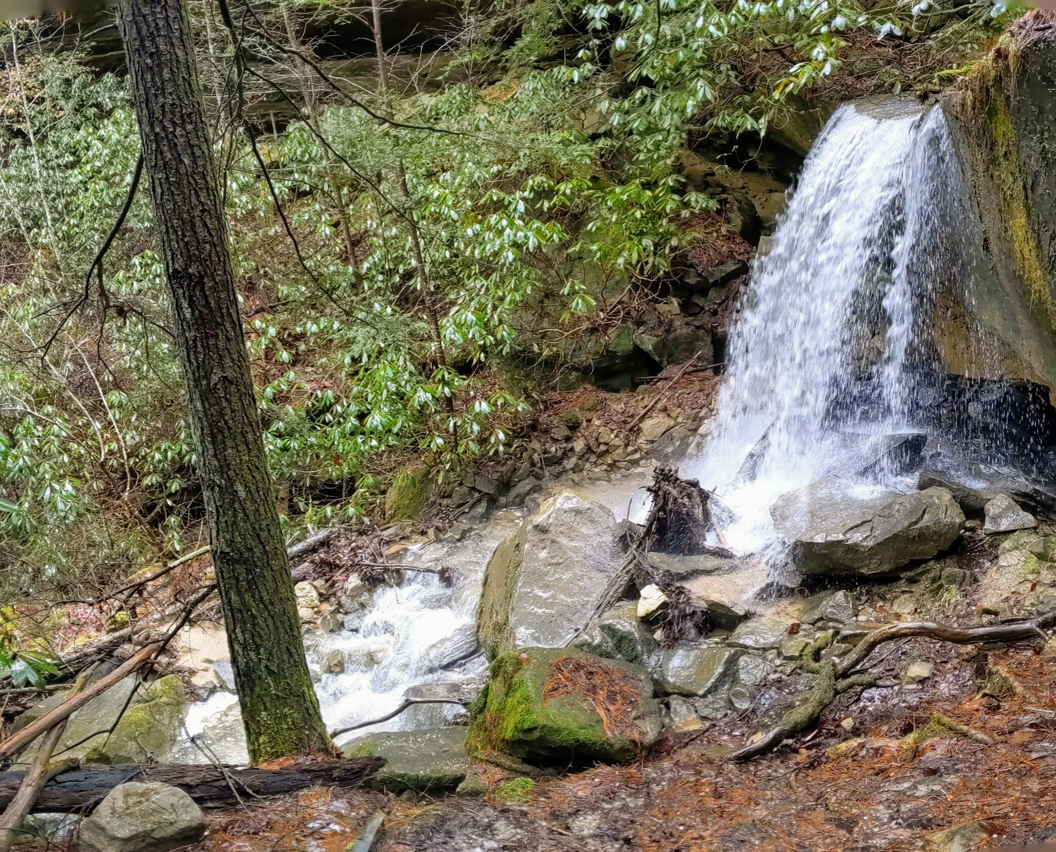 Whittleton Branch Falls - Kentucky Hiker Project.jpg