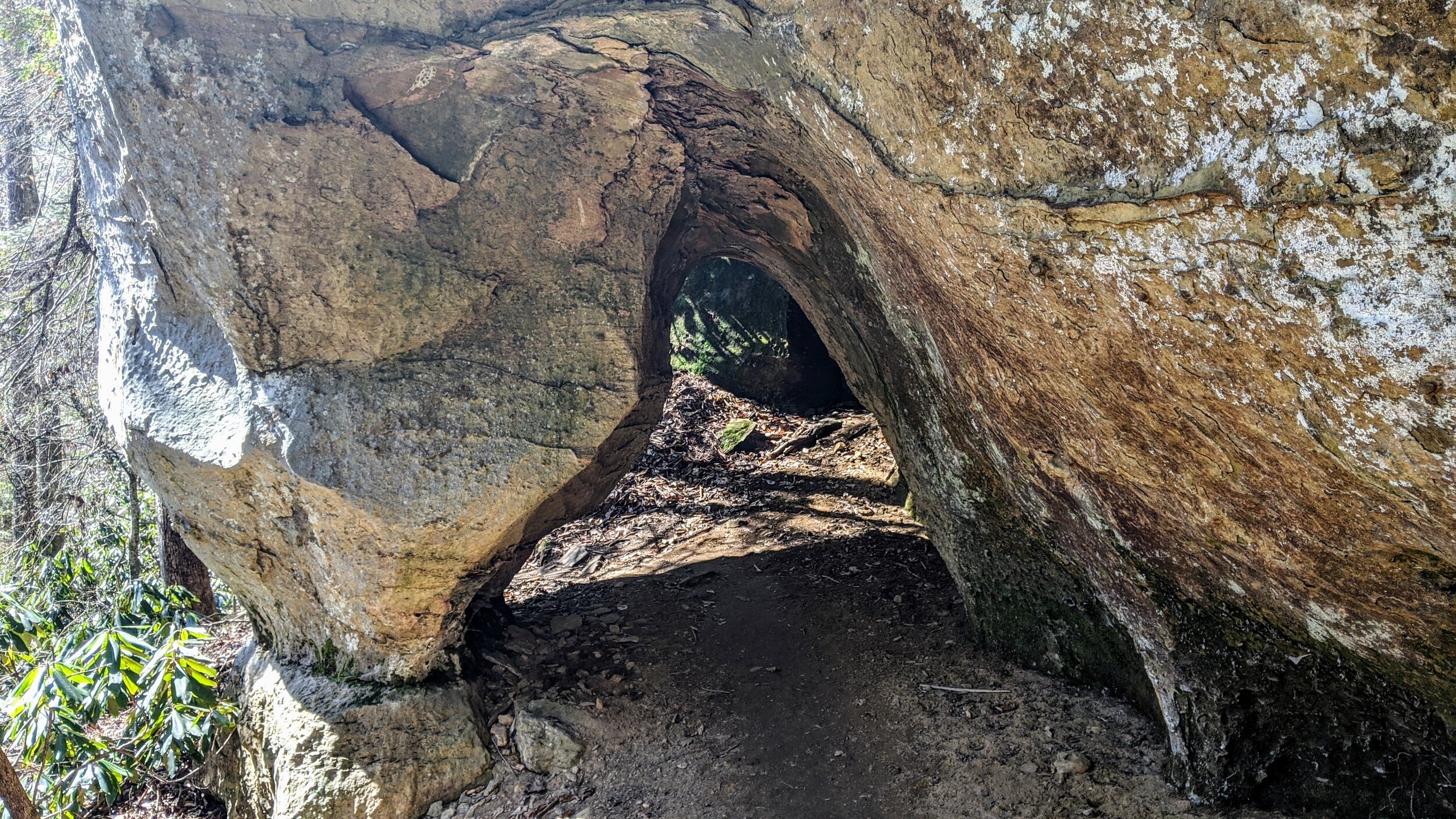 Liz's Arch at Muir Valley - Kentucky Hiker Project.jpg