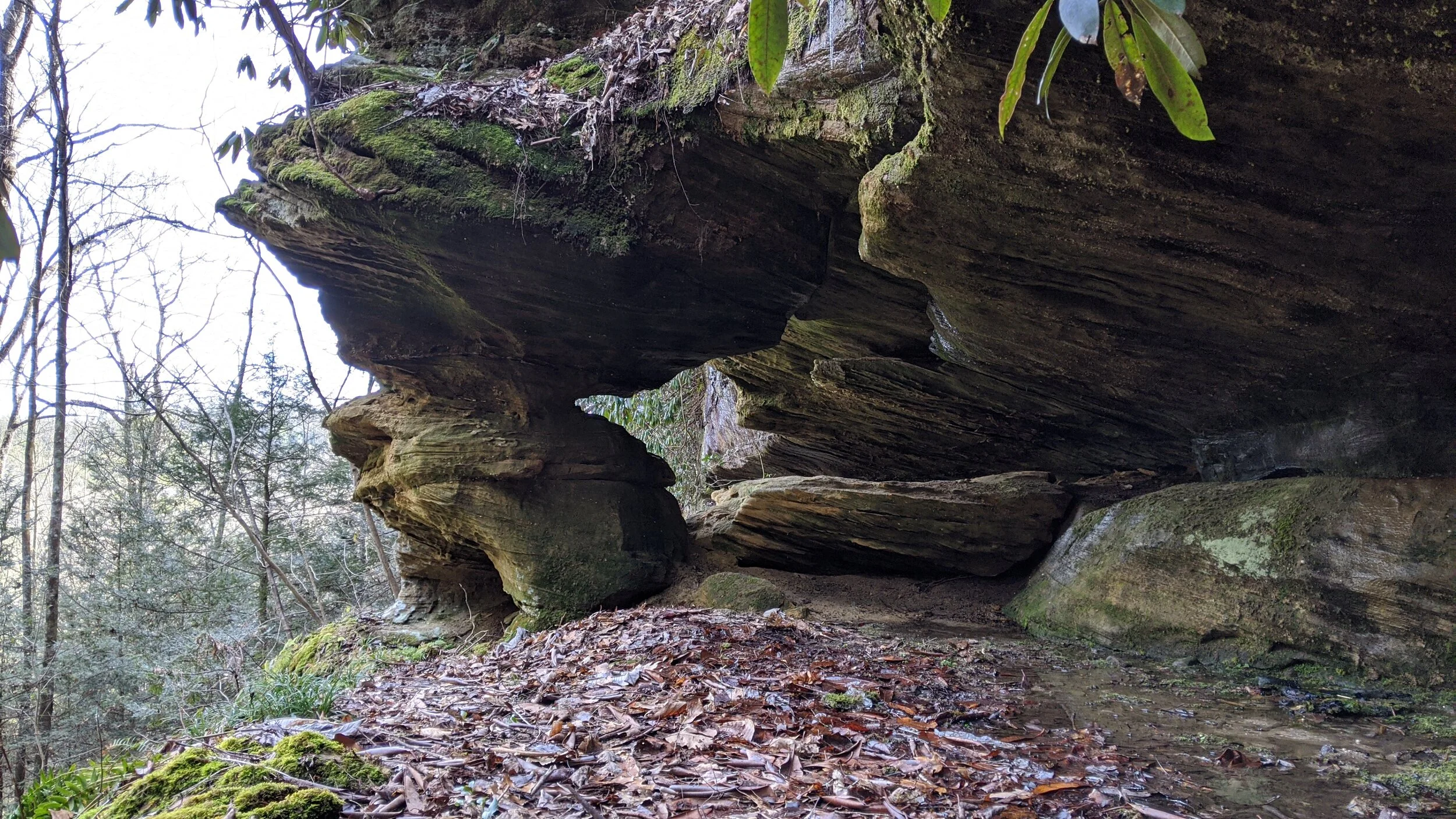 Unicorn Arch and Osborne Bend Arch Out and Back