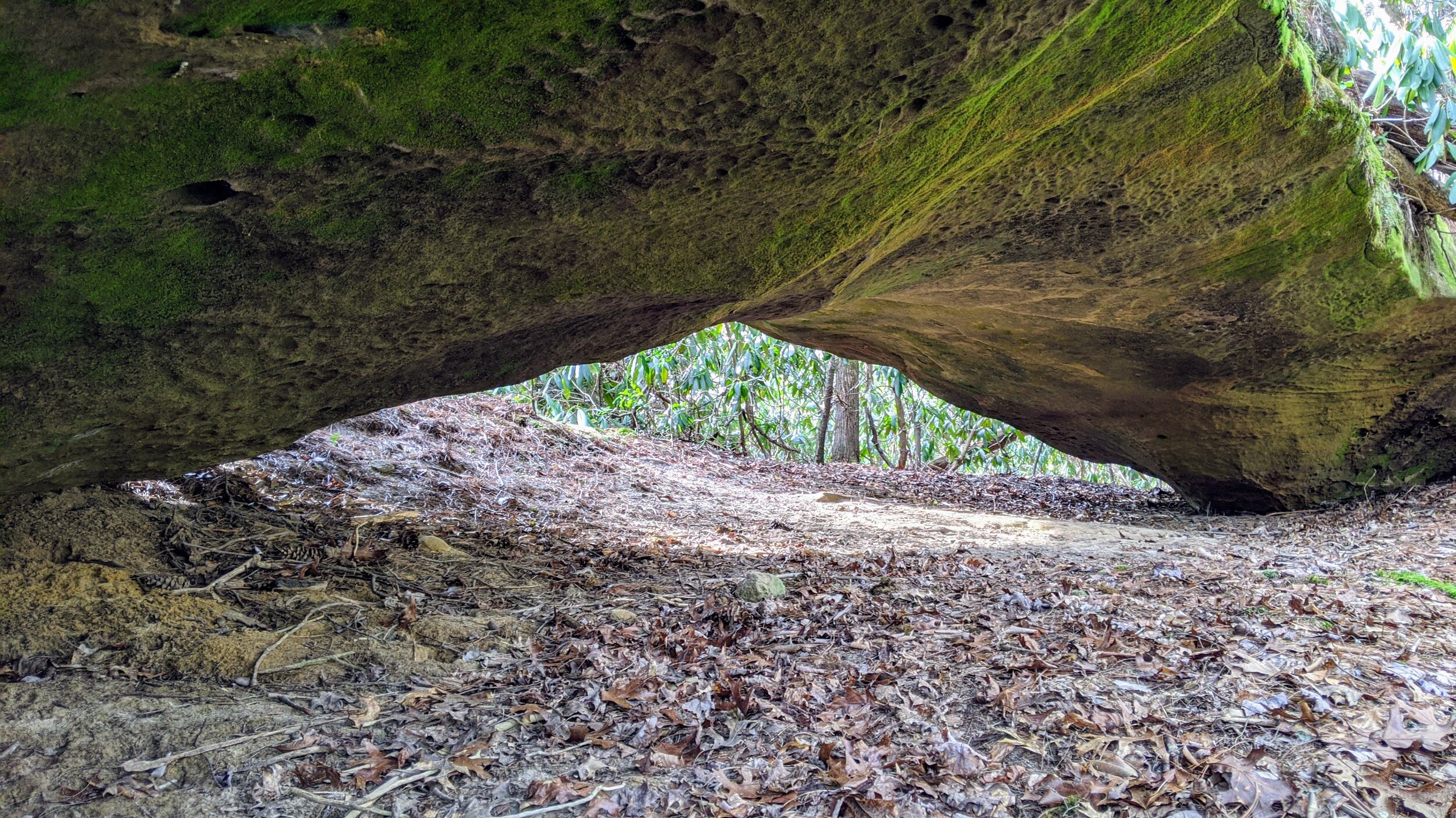 Underside of Osborne Bend Arch - Kentucky Hiker Project.jpg