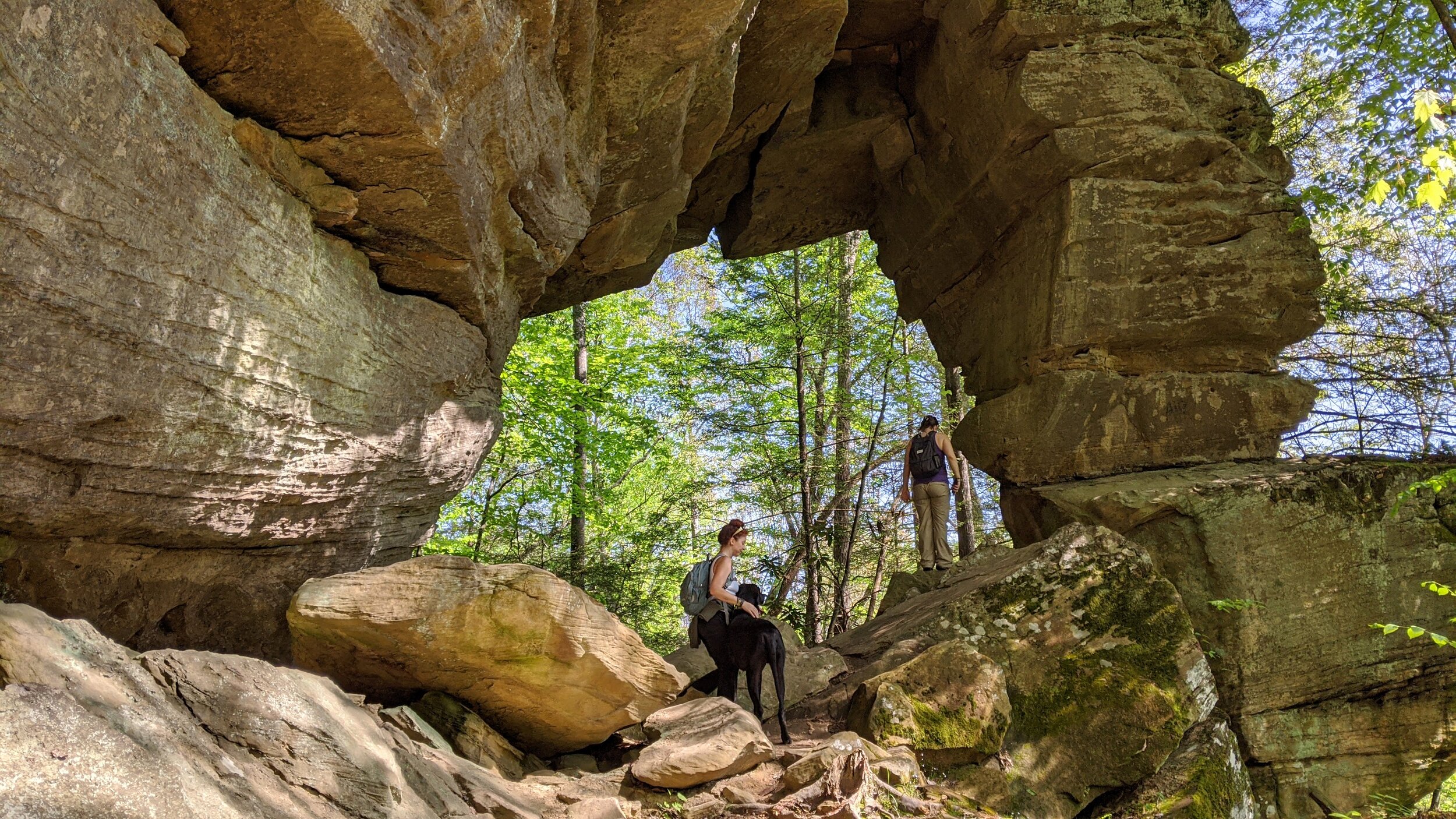 Suzanna Arch