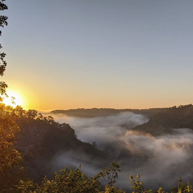 Sunrise at Swift Camp Creek Overlook in Red River Gorge.  I do love a clear morning with a little fog in the Gorge.  It makes getting up at 4-something so worth it 🥳 Search 'kentuckyhiker.com Swift Camp Creek Overlook' for details and directions.

H