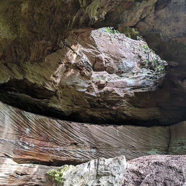 Sky View Arch is beautiful and a pretty easy hike, but the trail leading to it is still organic soil - even if increasingly disturbed and eroded.  You won't see any coordinates or hike details on the website because the one rule I use on whether or n