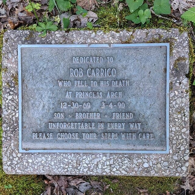 Memorials like this one on Princess Arch Trail are a reminder that Red River Gorge can be a dangerous place.  I hadn't been out on this trail for a good while and forgot there was much danger.  Then I remembered (swipe to #2). RIP Rob.  Take care how