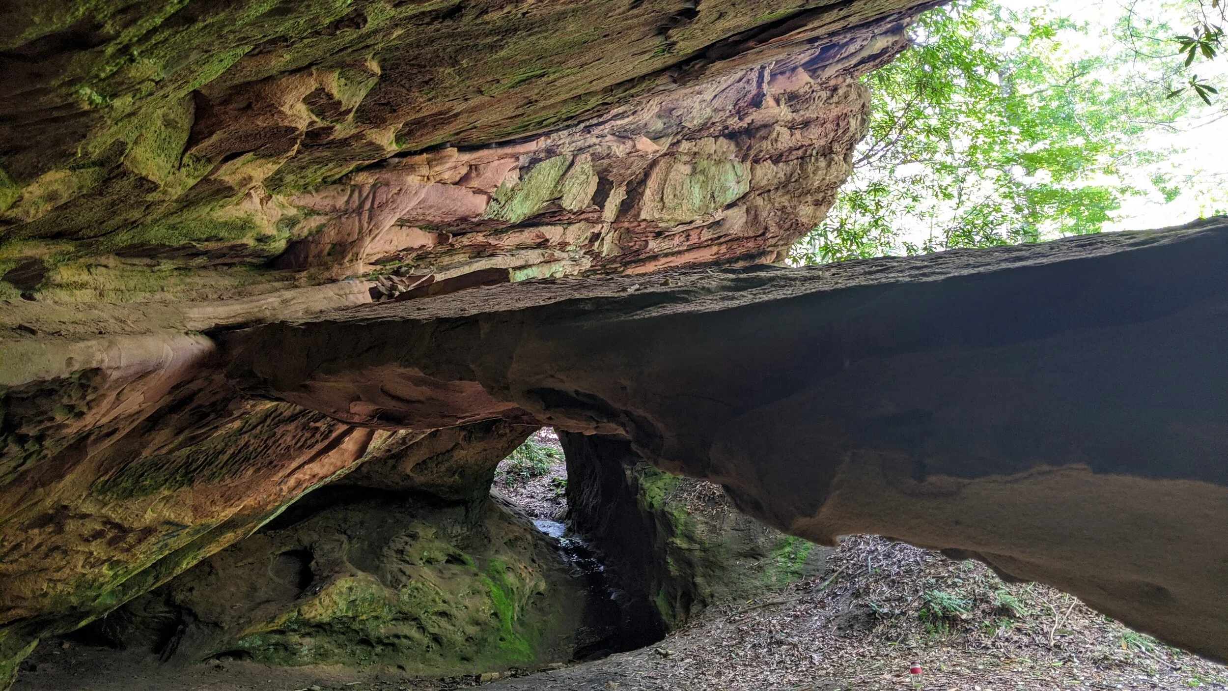 Bear Rock Arch and Lighthouse Arch