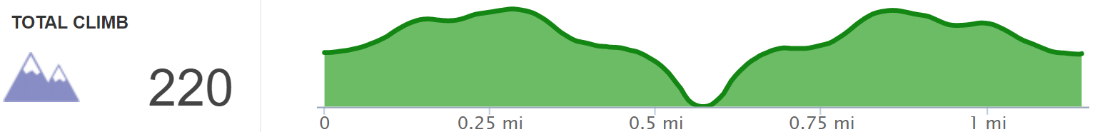 Elevation Profile of Buzzard Rock Hike in Big South Fork - Kentucky Hiker Project.png