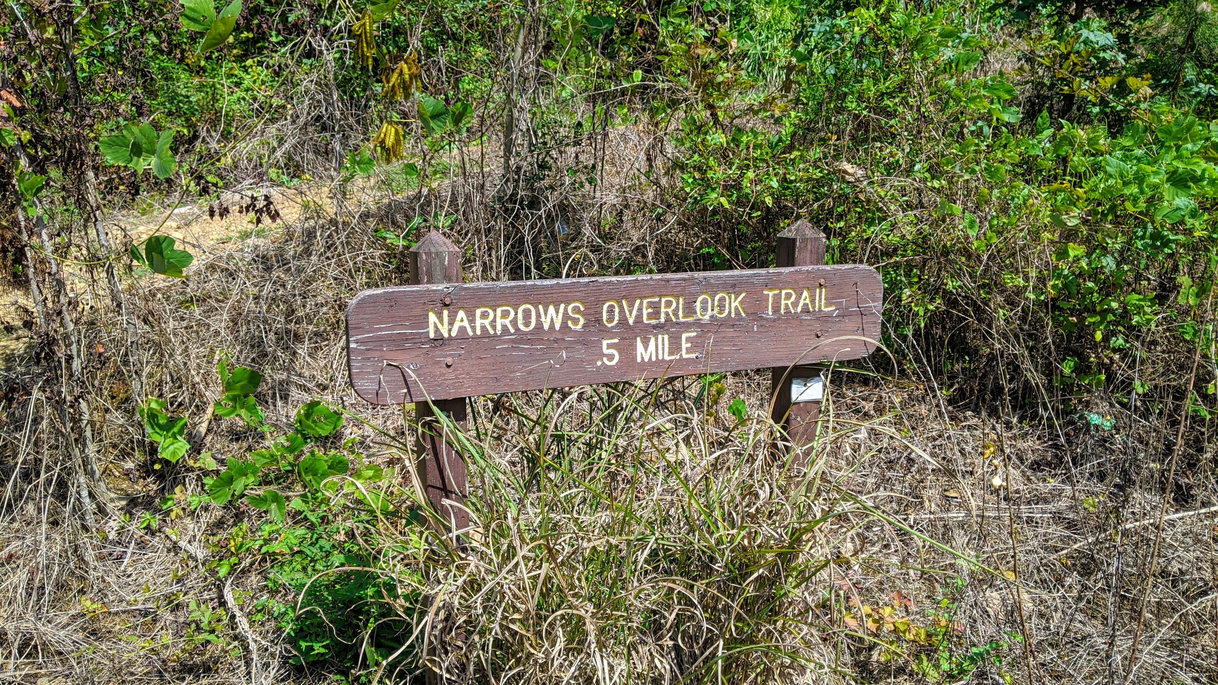 Narrows Overlook Trailhead - Pine Mountain State Resort Park - Kentucky Hiker Project.jpg