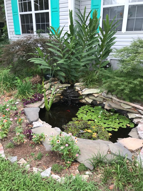 This manmade pond invites wildlife into your space and supports a vibrant ecosystem. Added bonus? Because of water’s ability to hold heat this pond creates an interesting micro-climate for certain plants to thrive.