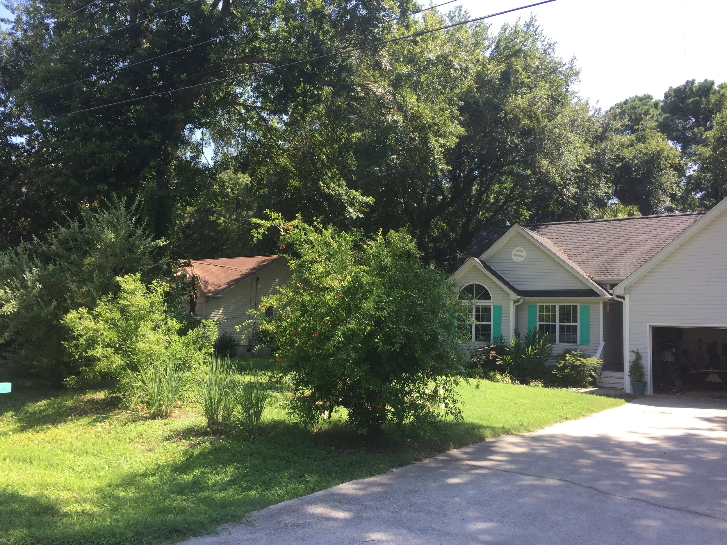  Permaculture at work in a sub-urban setting 