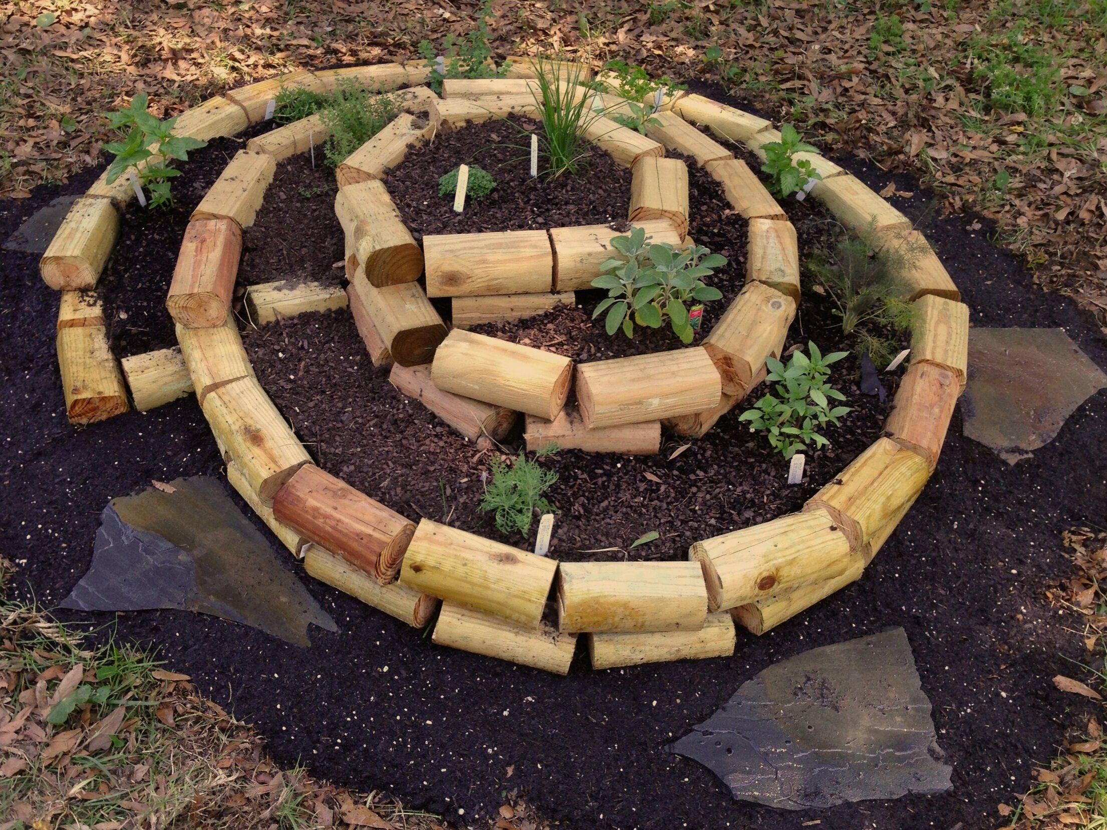 Our first herb spiral… allows you to grow more goodies using less space.. great for smaller landscapes!