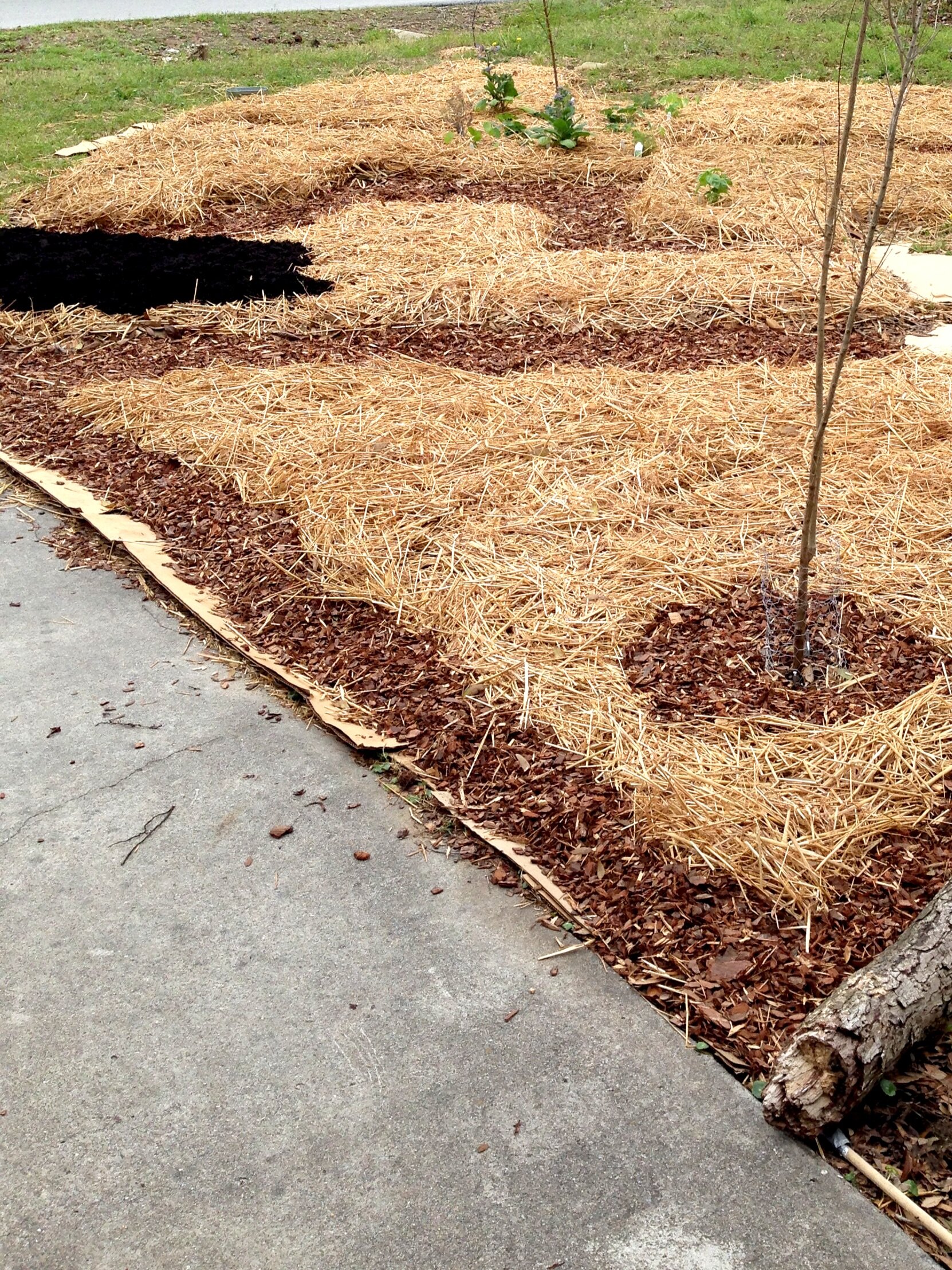 Nourishing the soil.. a permaculture practice called sheet mulching which incorporates a layering of straw, manure, compost, and fibrous material.