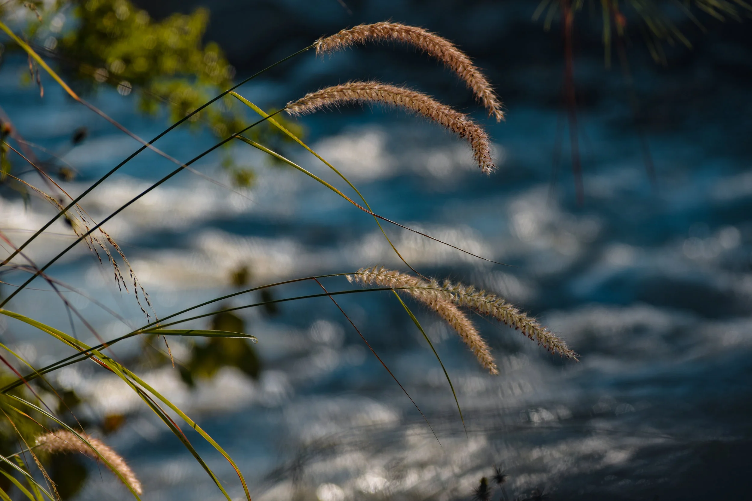 Soothing the Summer soul