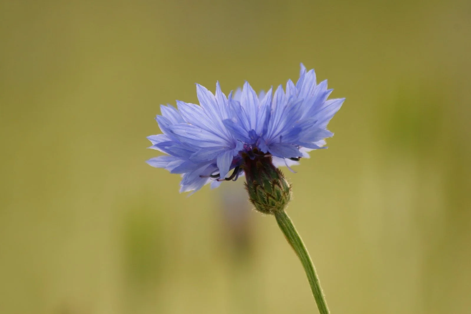 No longer and not yet