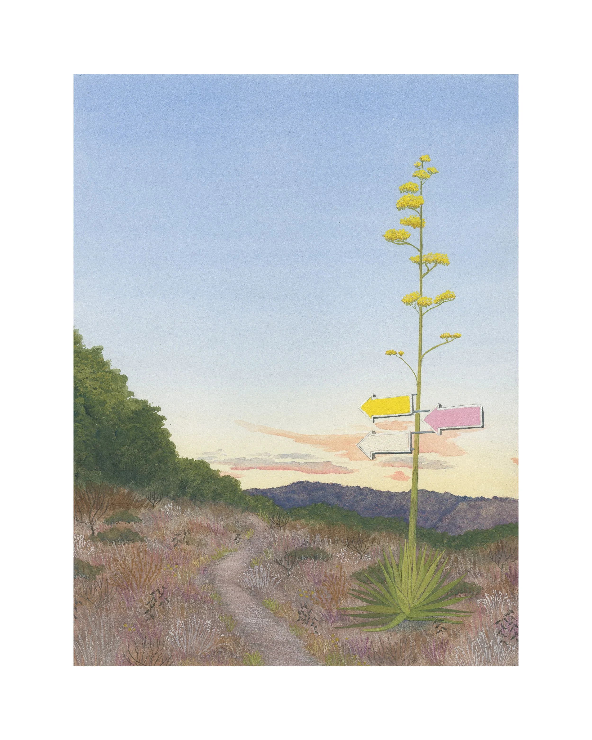 Century Path PRINT.jpg