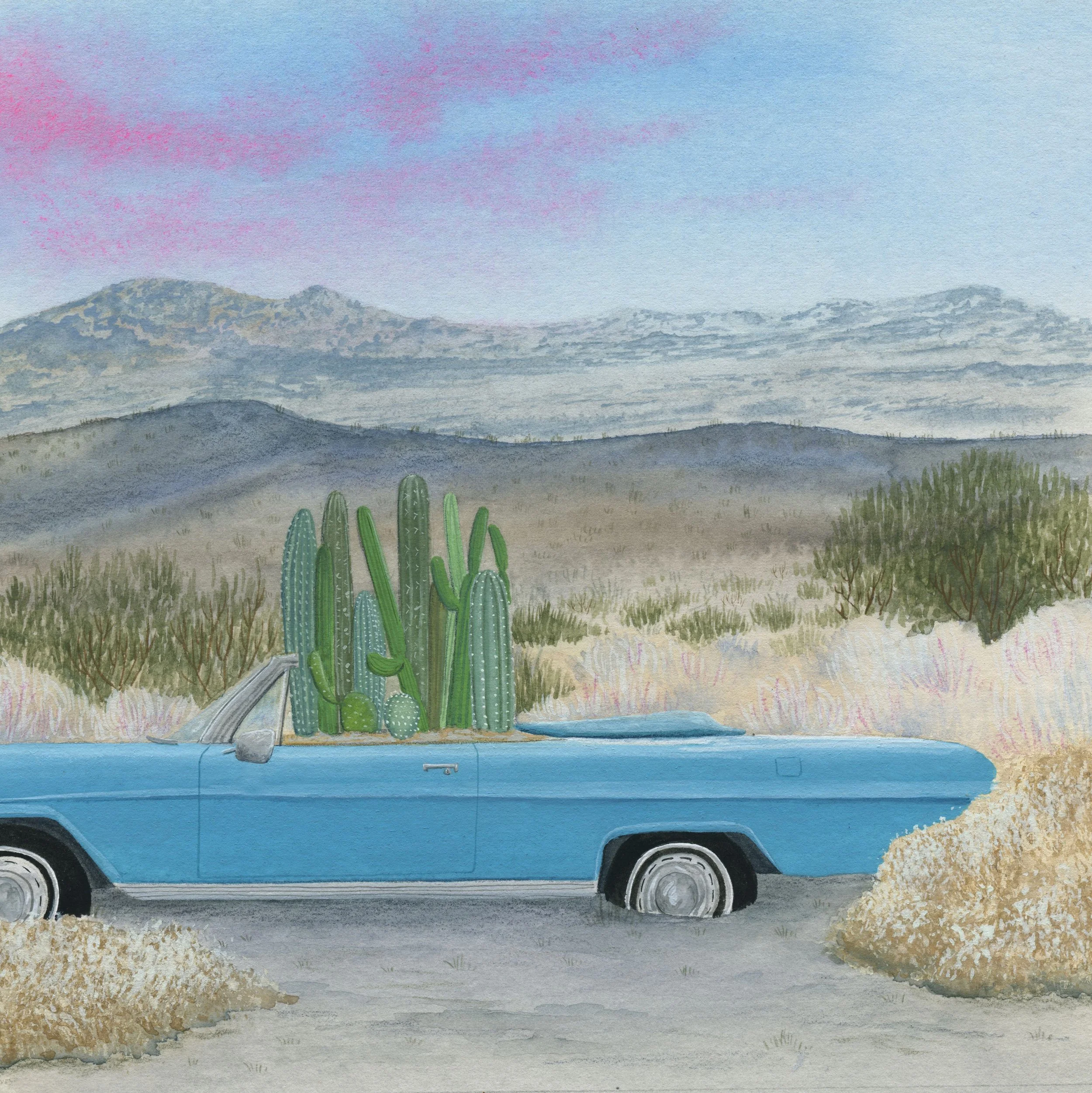 Cactus farm.jpg