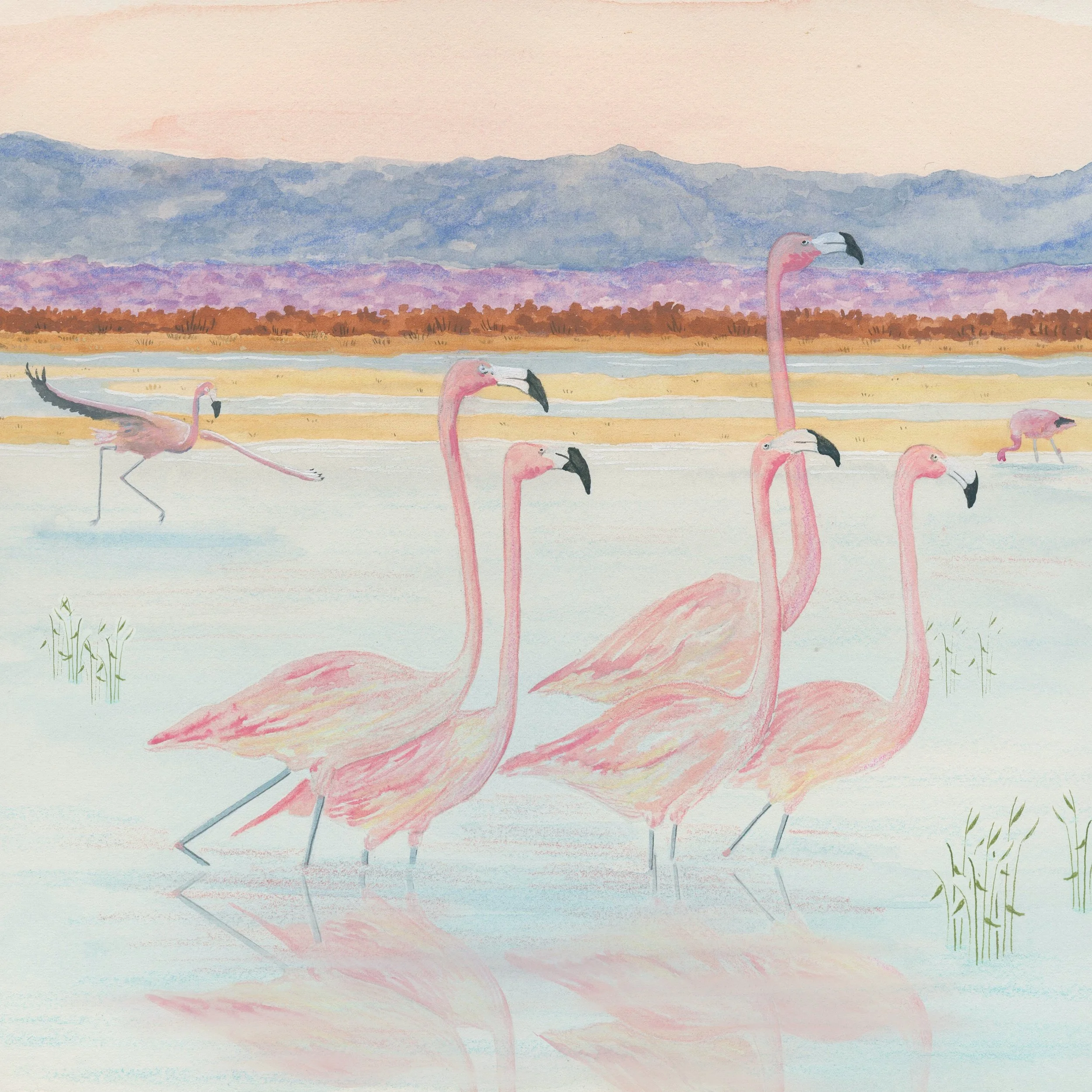 PPOTM_Kiddos_Flamingos_copy.jpg