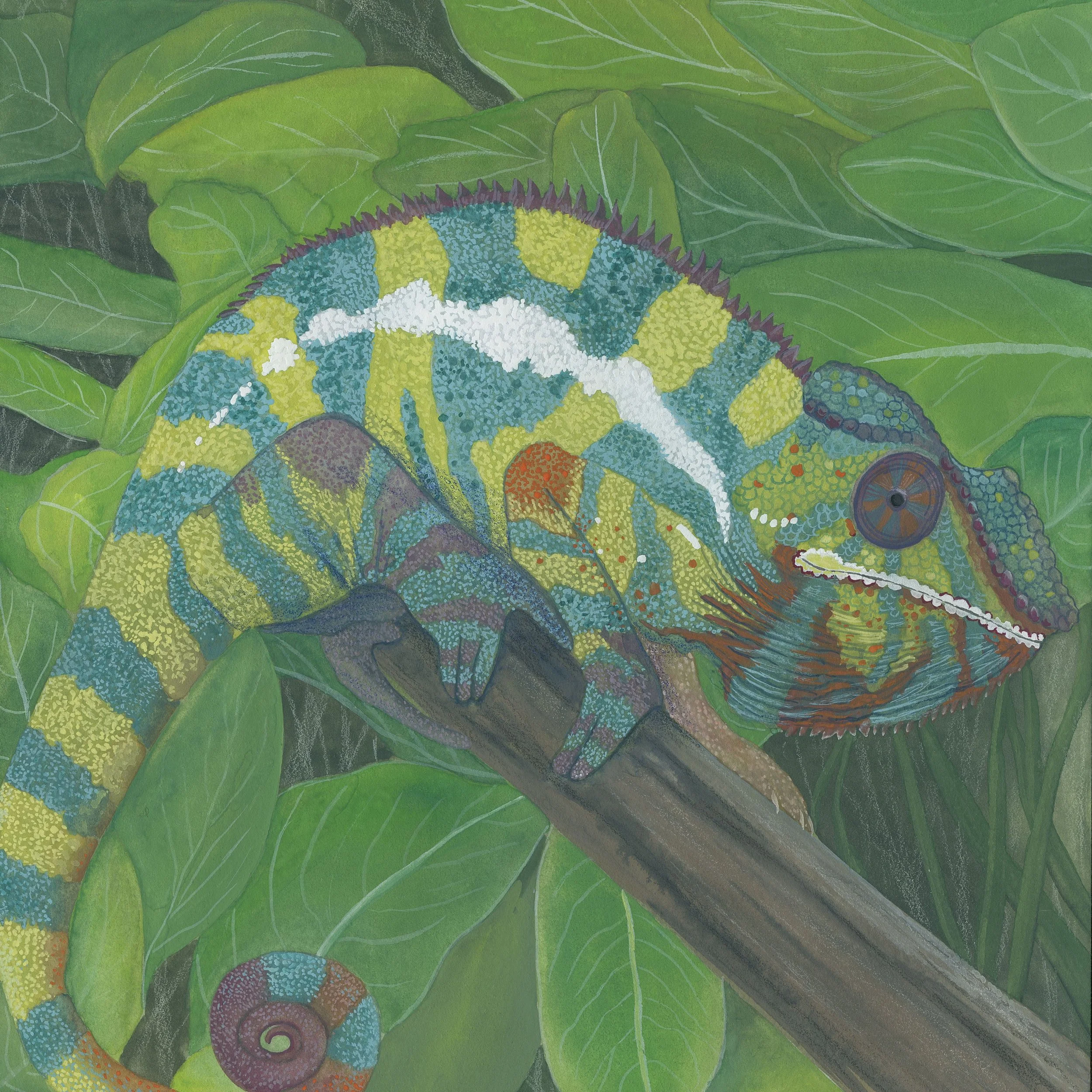 Leaping Lizard (Karma Panther Chameleon)