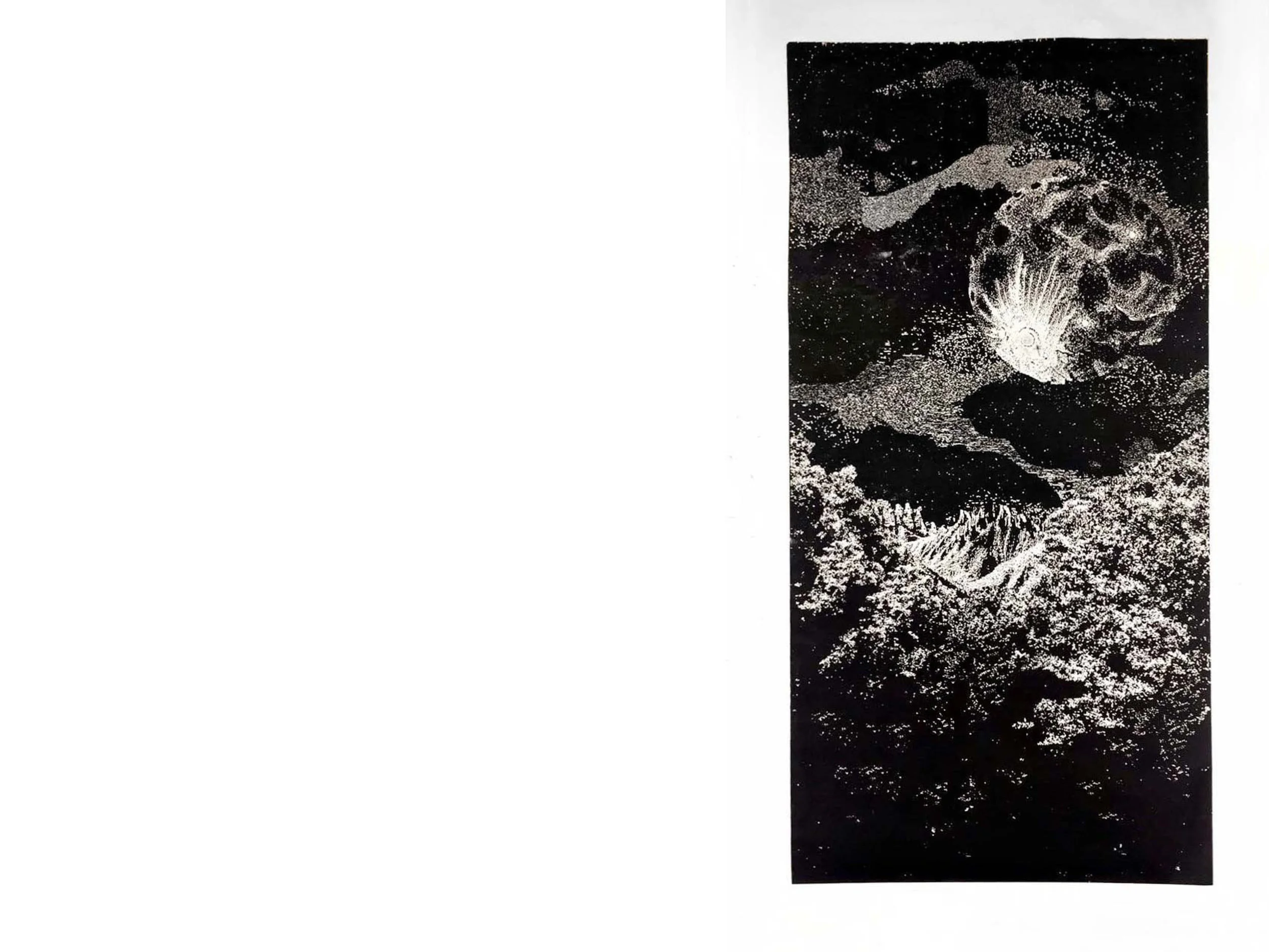 moon$m4.jpg