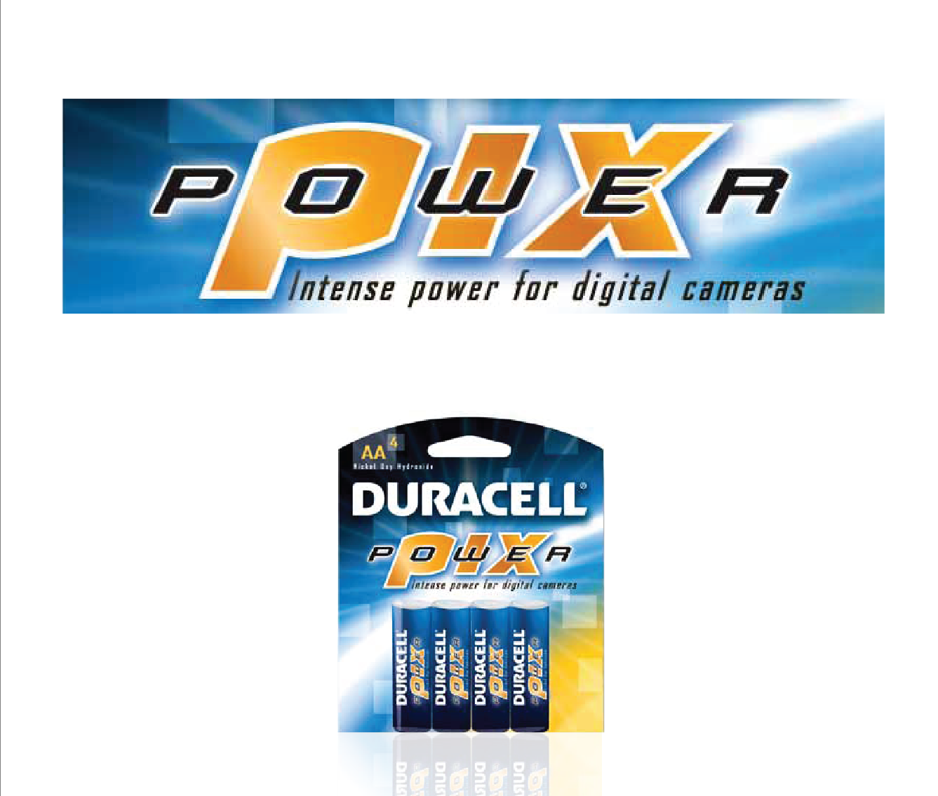 Duracell Power Pix Batteries