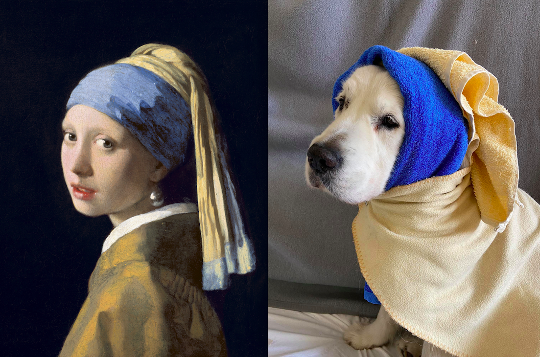 Screen Shot 2020-05-07 at 8.29.50 AM.png