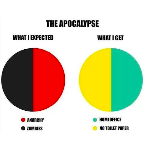 Screen Shot 2020-05-07 at 9.09.28 AM.png