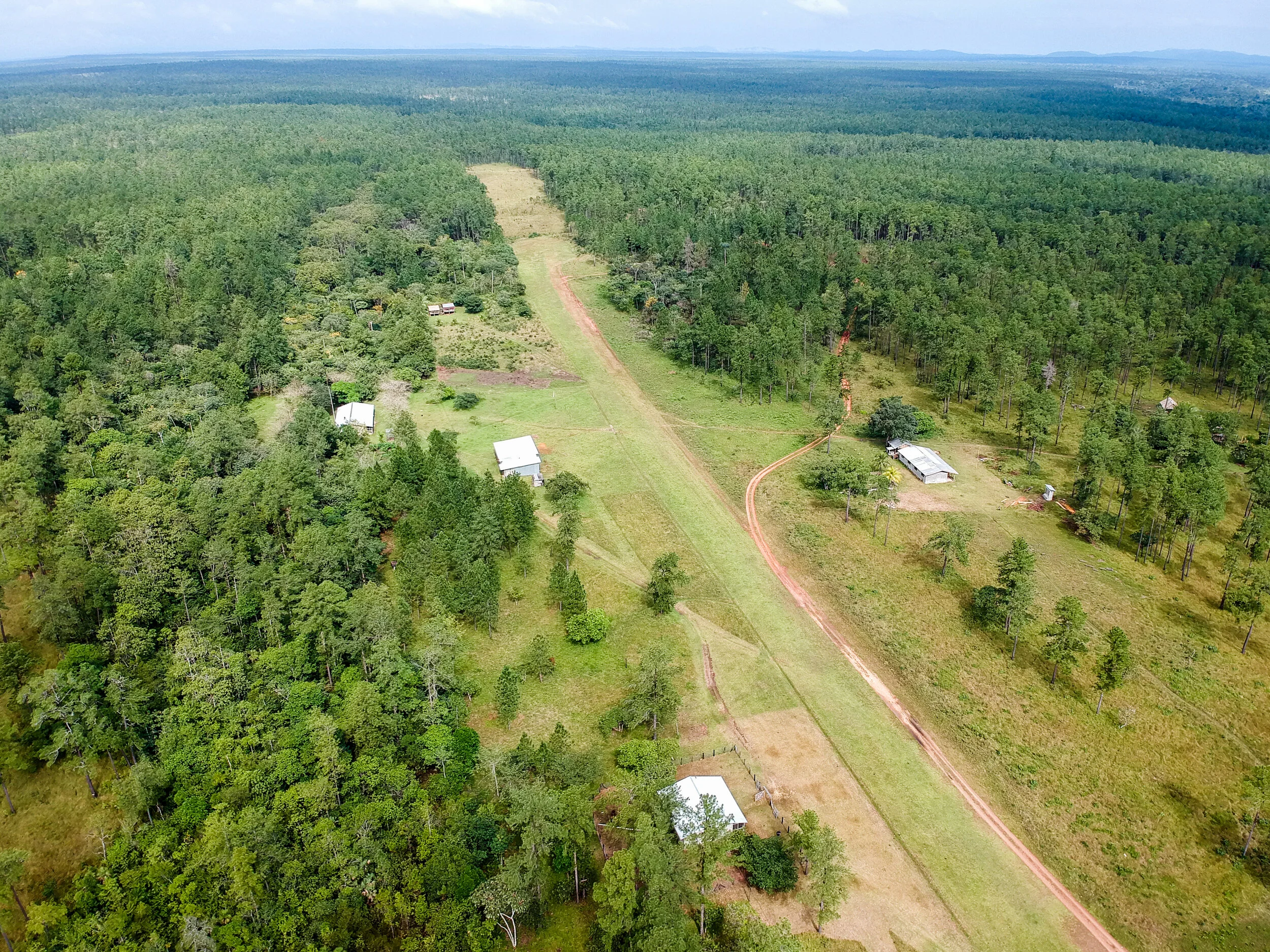 Rus Rus Runway.jpg
