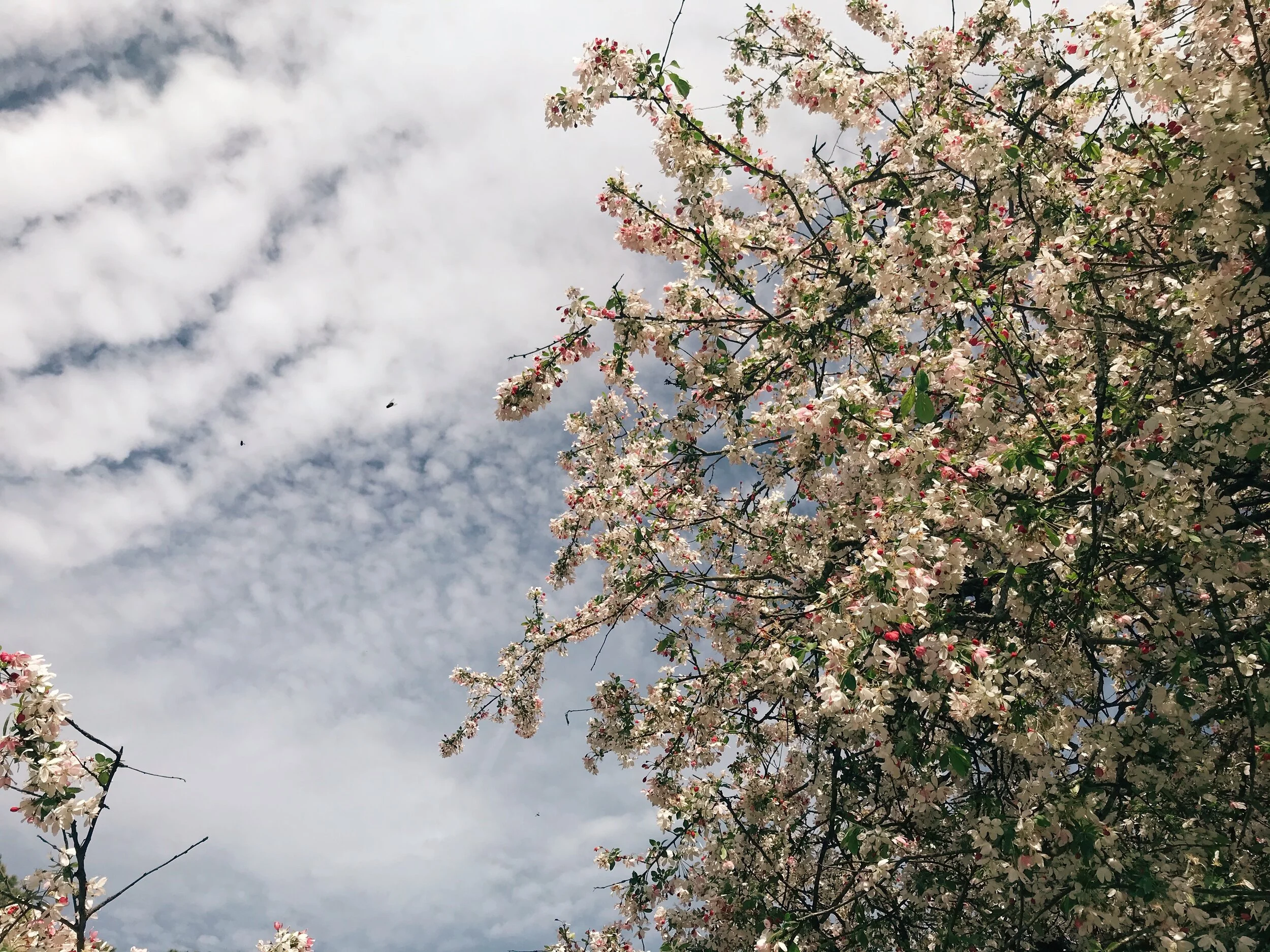 Life Together July 12, 2020