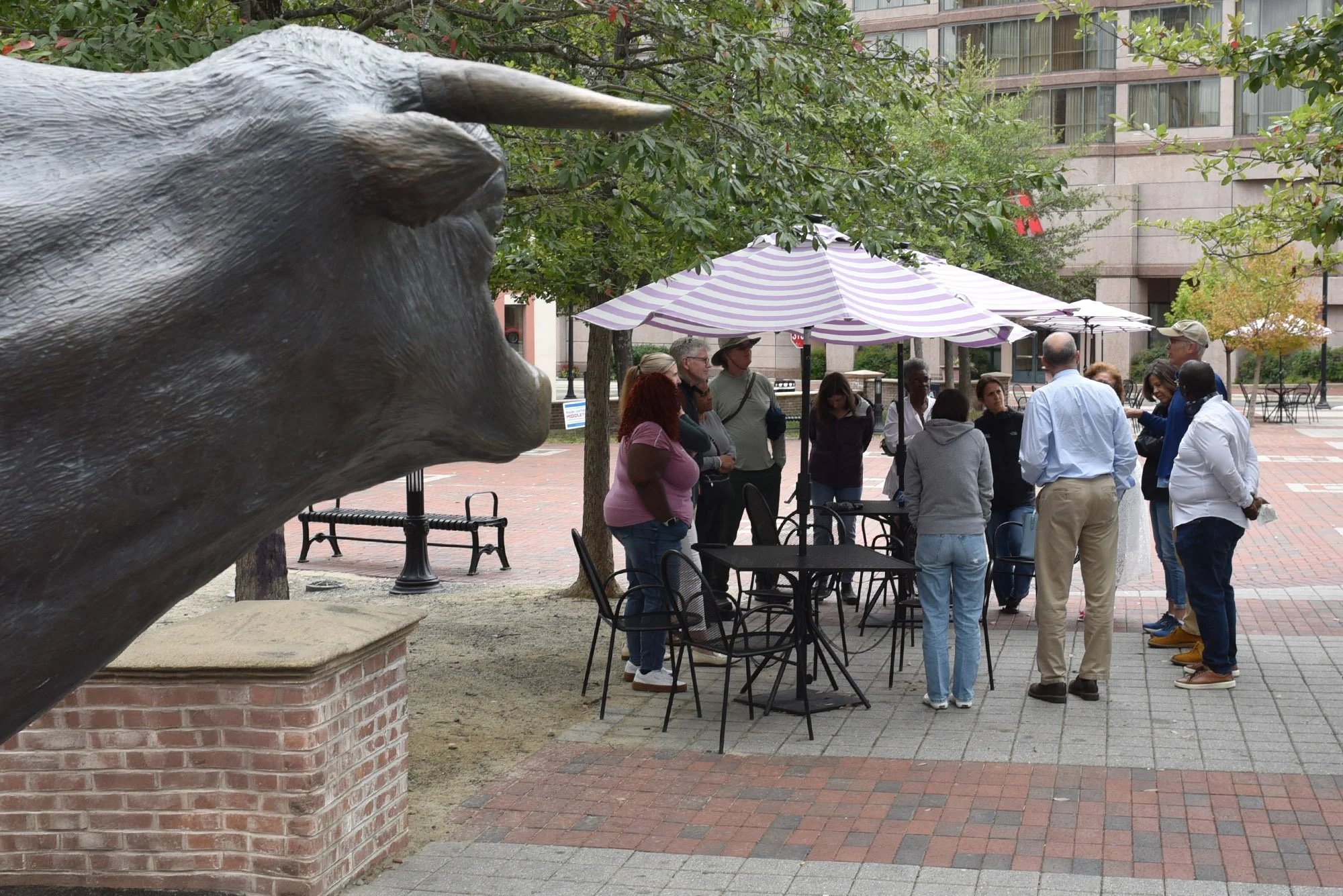 Group shot - bull.jpg