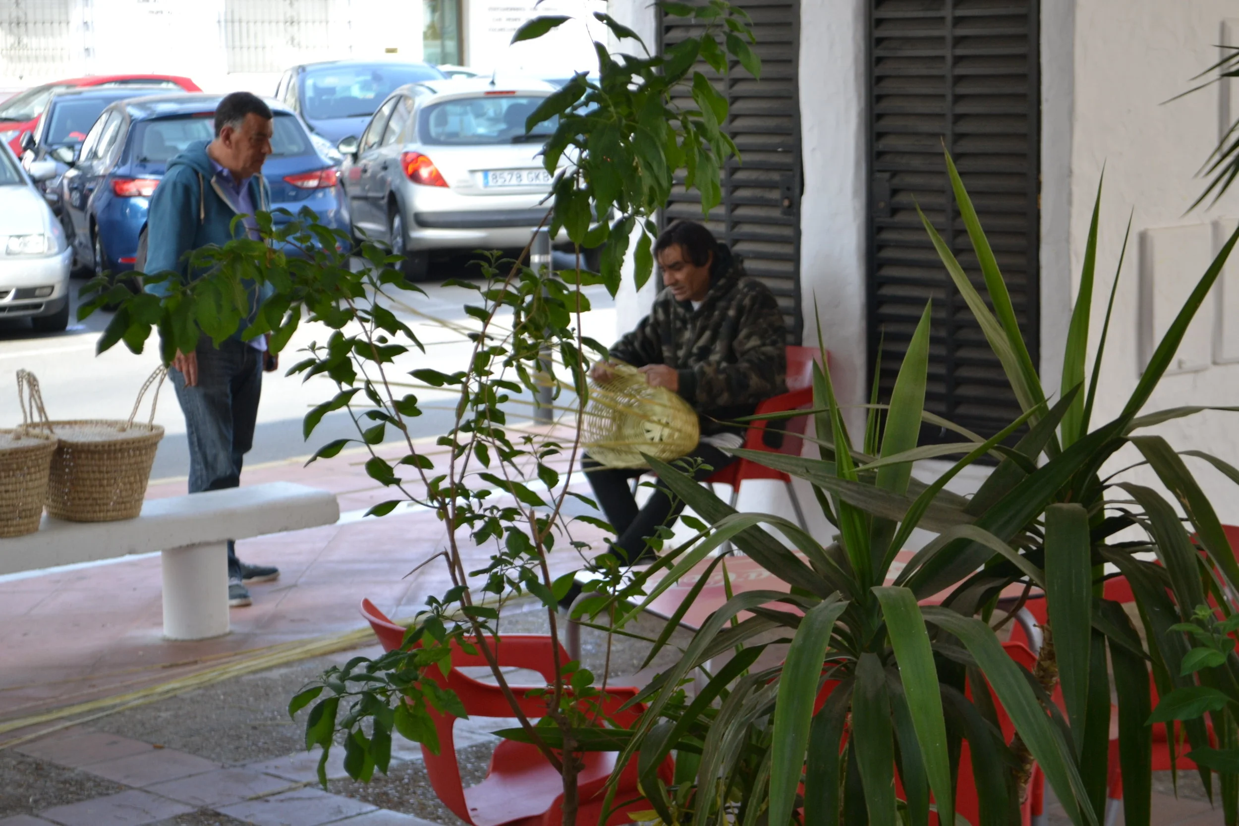 DSC_1135.JPG