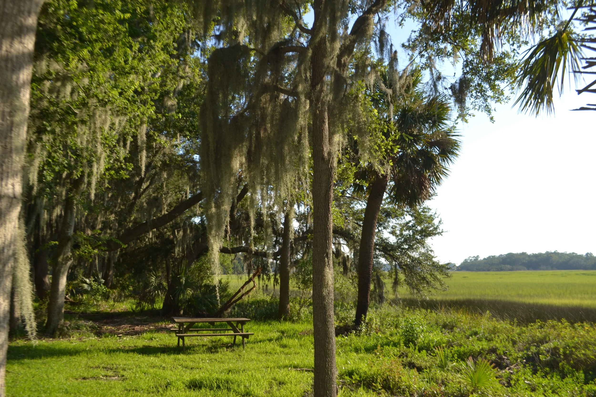 DSC_1518.JPG