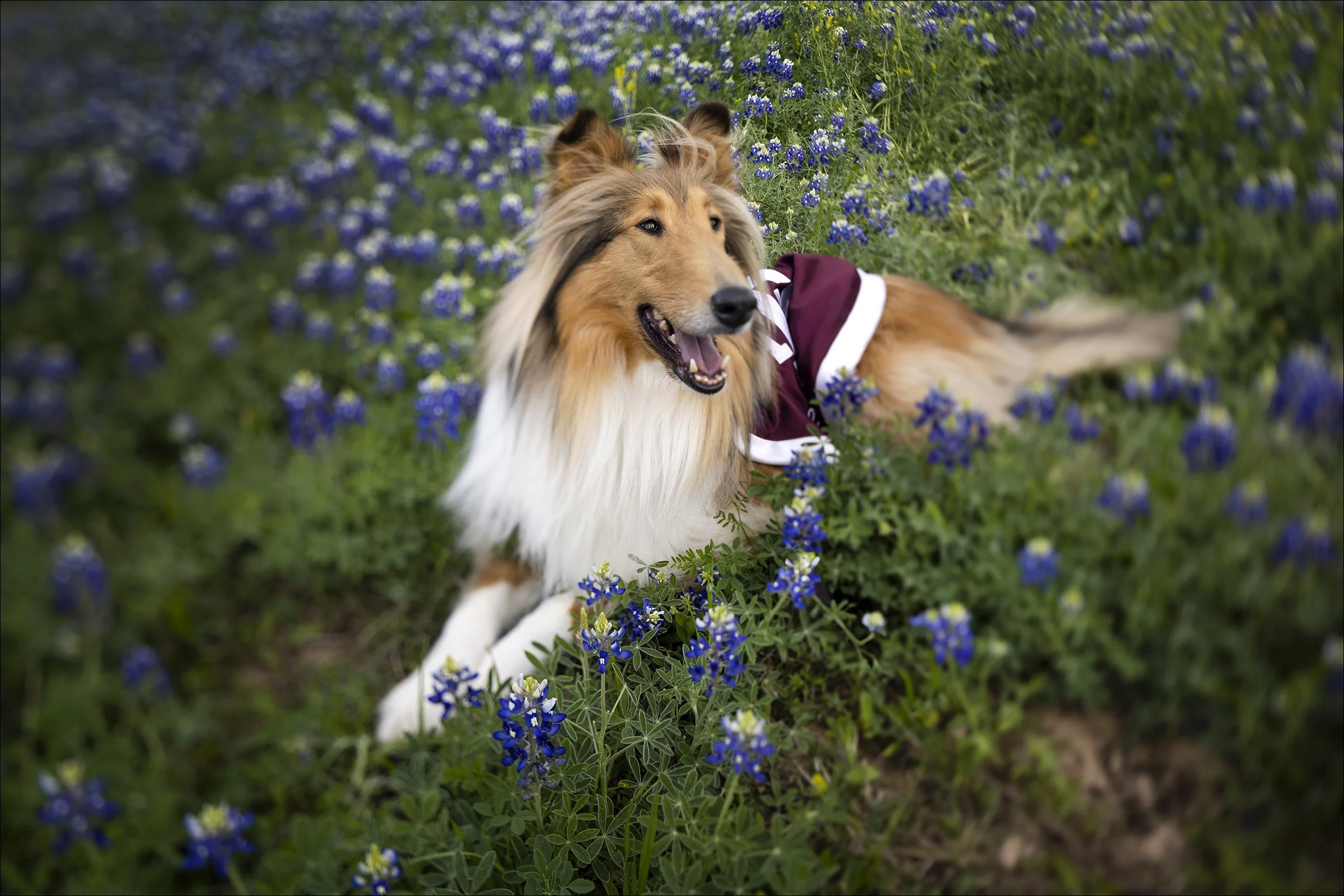 20230309_Reveille_Spring_LM_0449_web.jpg