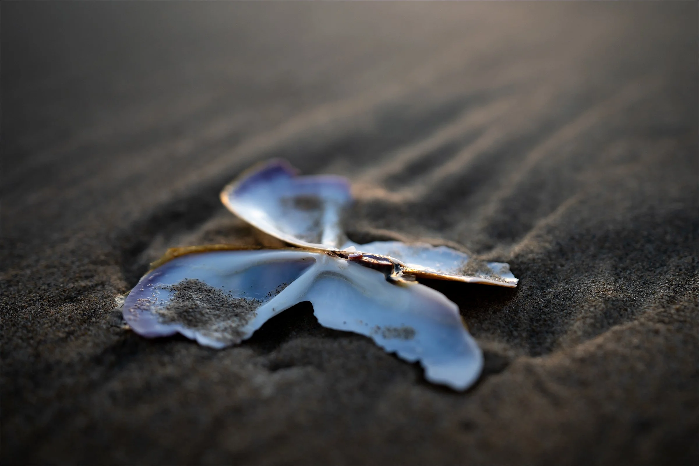 _IMG1440_web.jpg