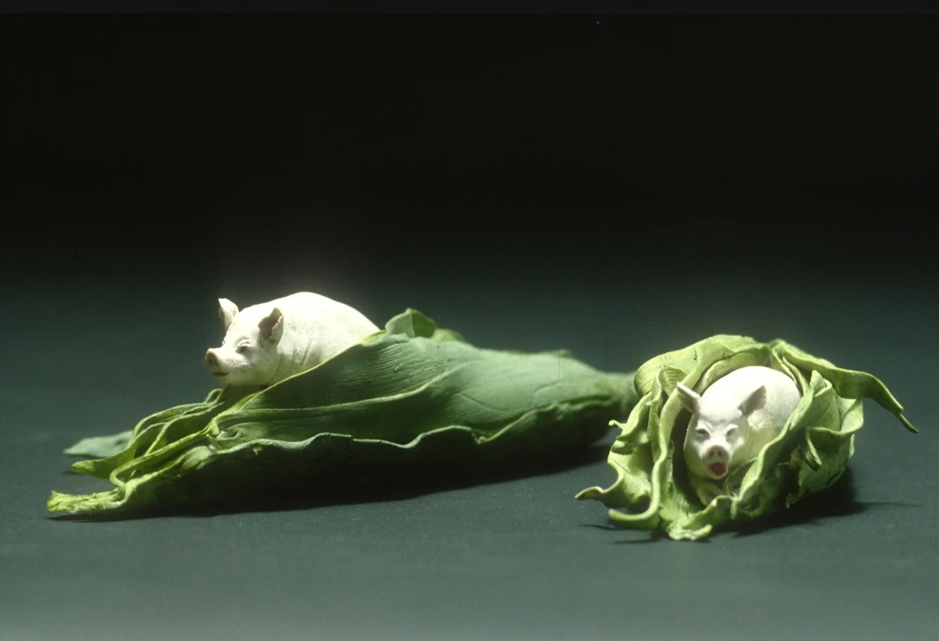  Ah Shucks  Porcelain  14” x 12” x 4” 