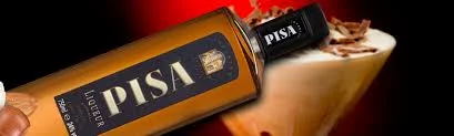Pisa.jpeg