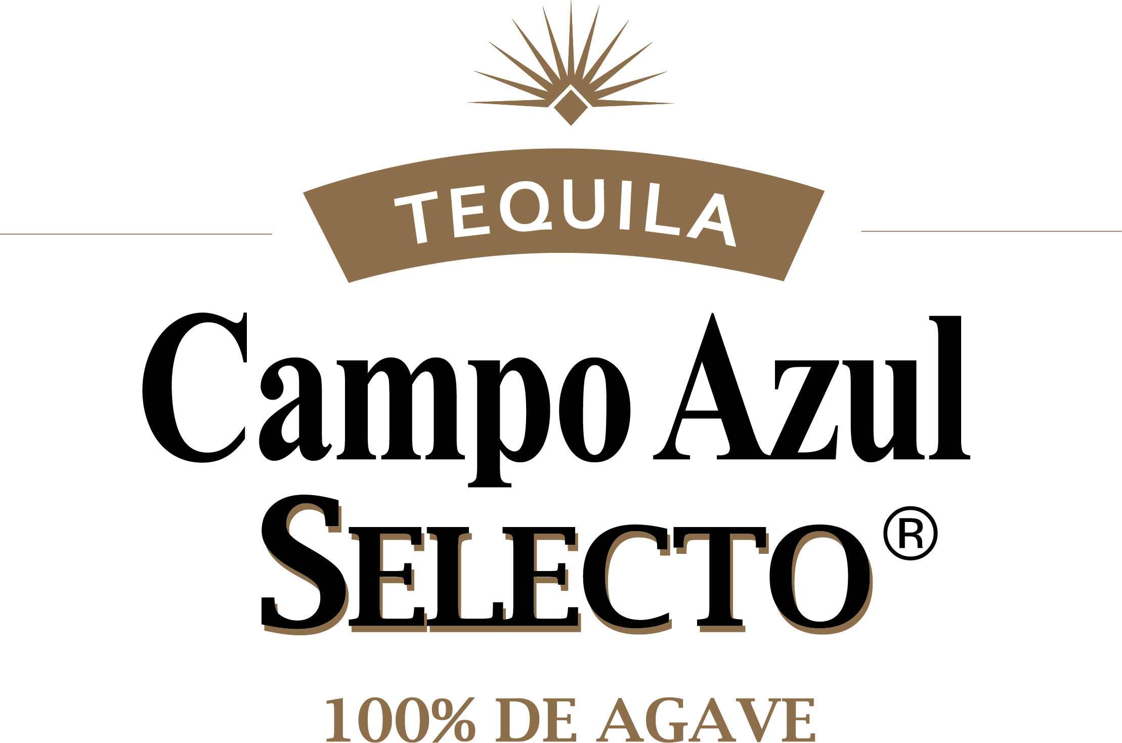LOGO SELECTO PNG.PNG