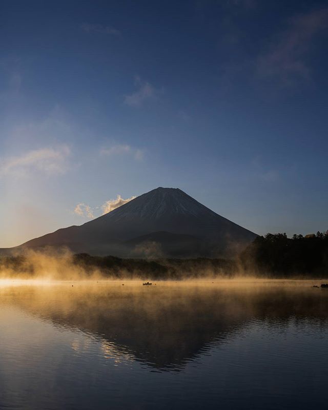 Good morning, fuji-san