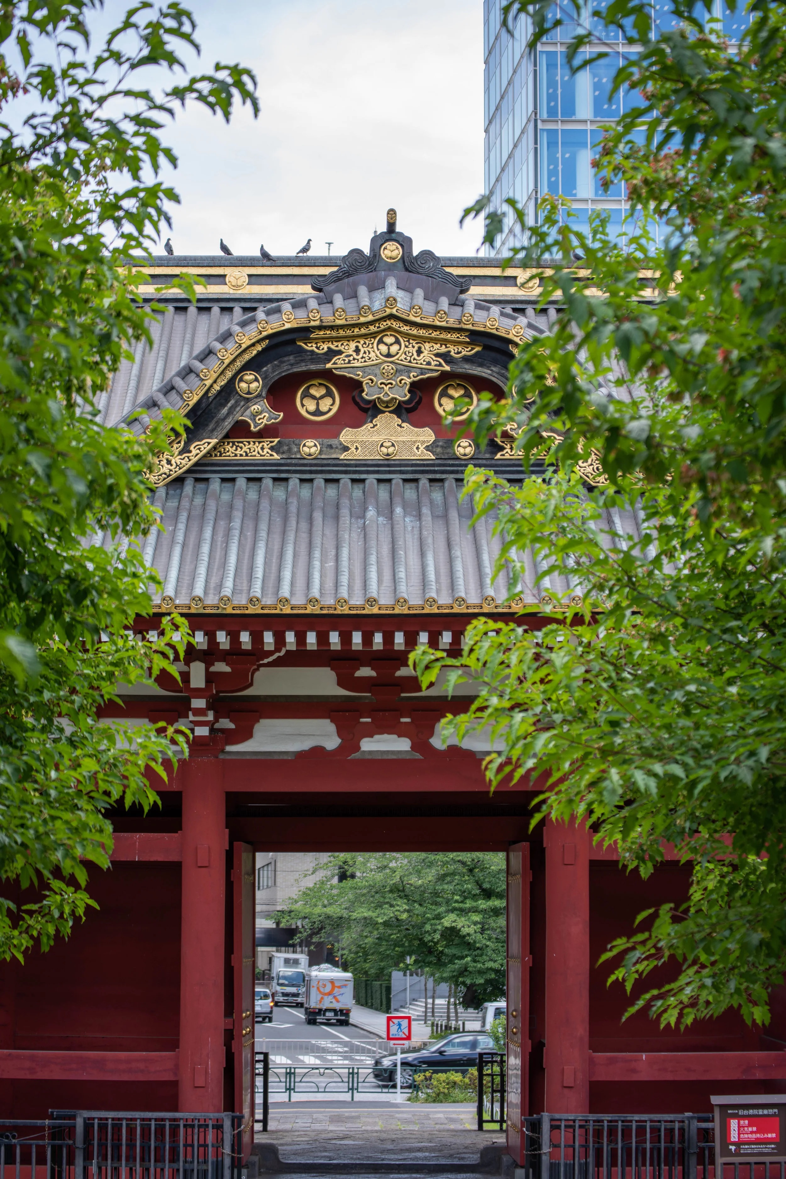 _DSC8766.jpg