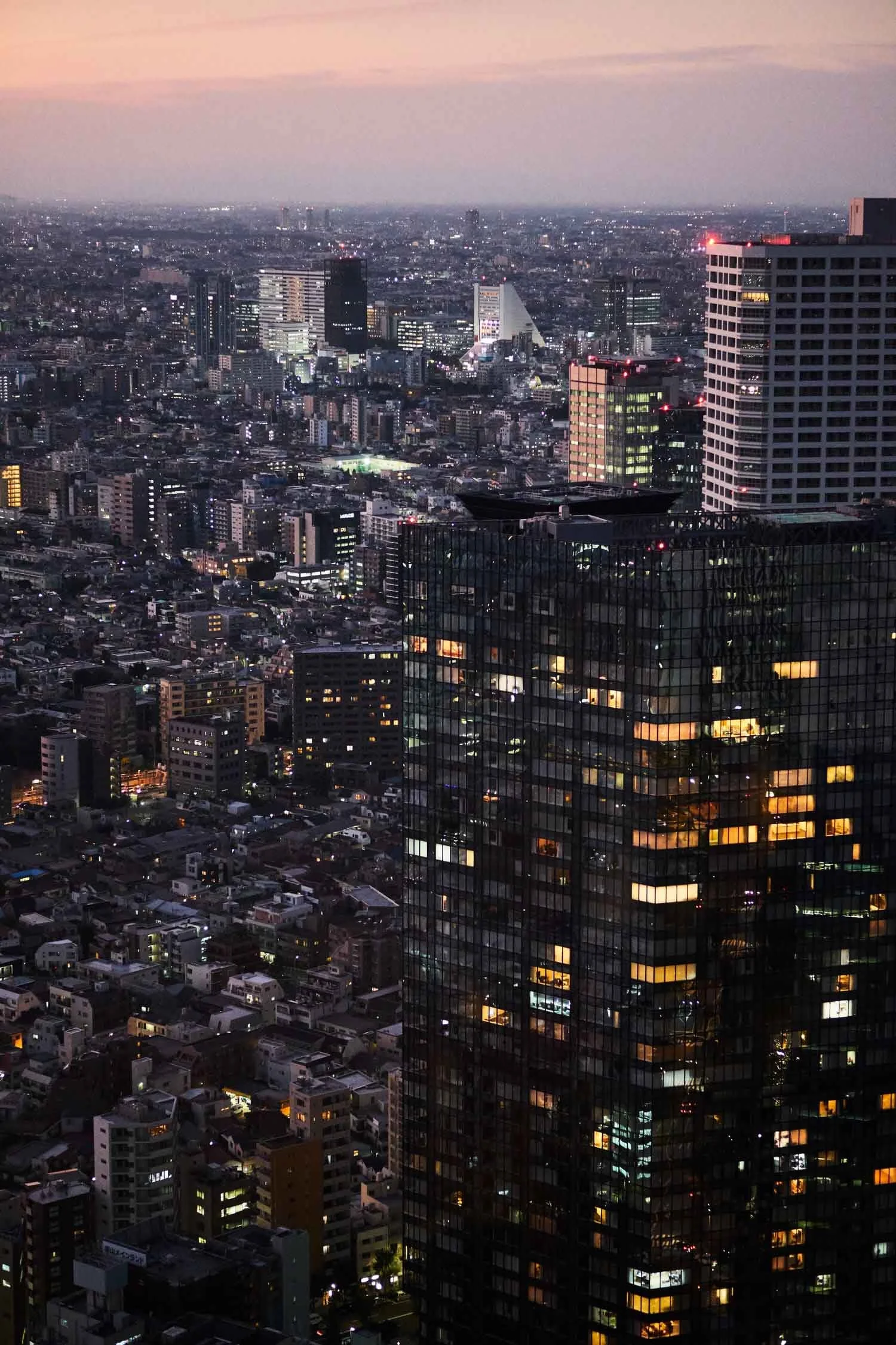tokyo-from-above.jpg