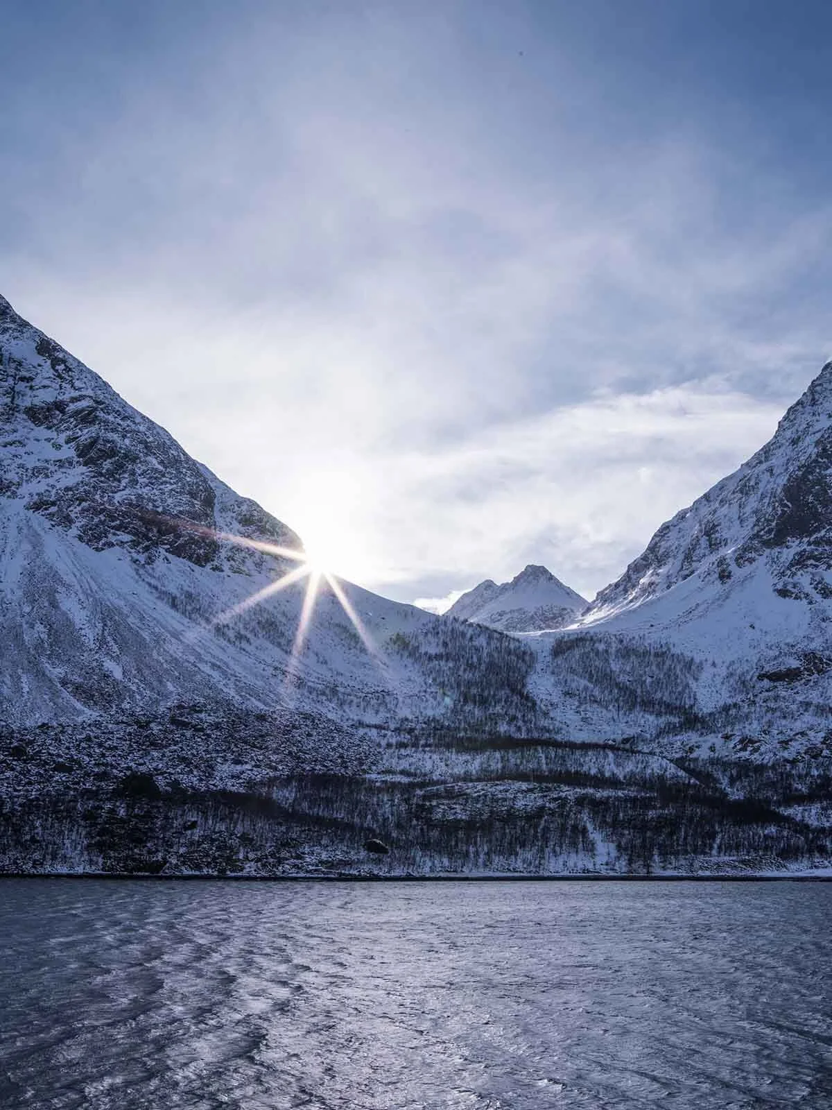 Review The Medium Format Pentax 645Z in 2020 — Said Karlsson Tokyo