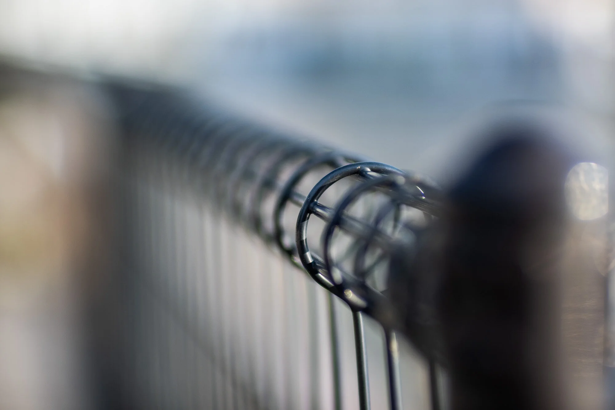 kamlan-50mm-review-20.jpg