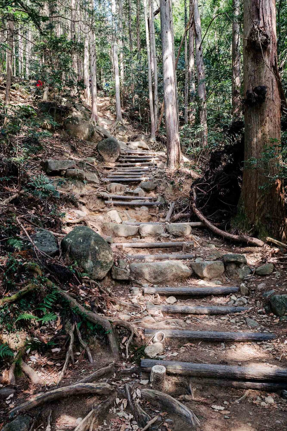 mt-tsukuba-hiking-guide6.jpg
