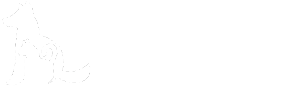 A Touch Of Class Pet Salon