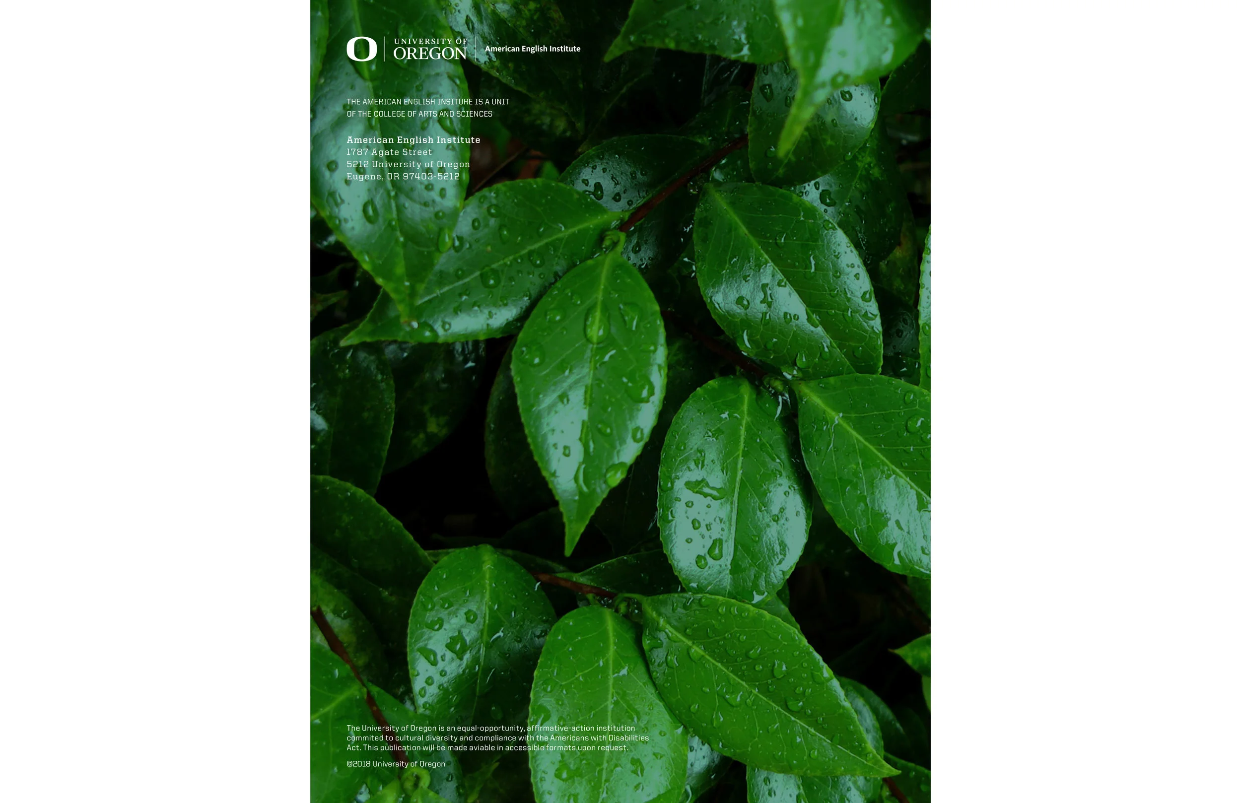 AEI Annual Report spreads_Part12.jpg