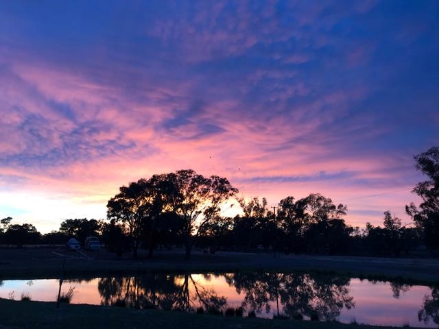 615am Brewarrina road trip to Narrabri.jpg