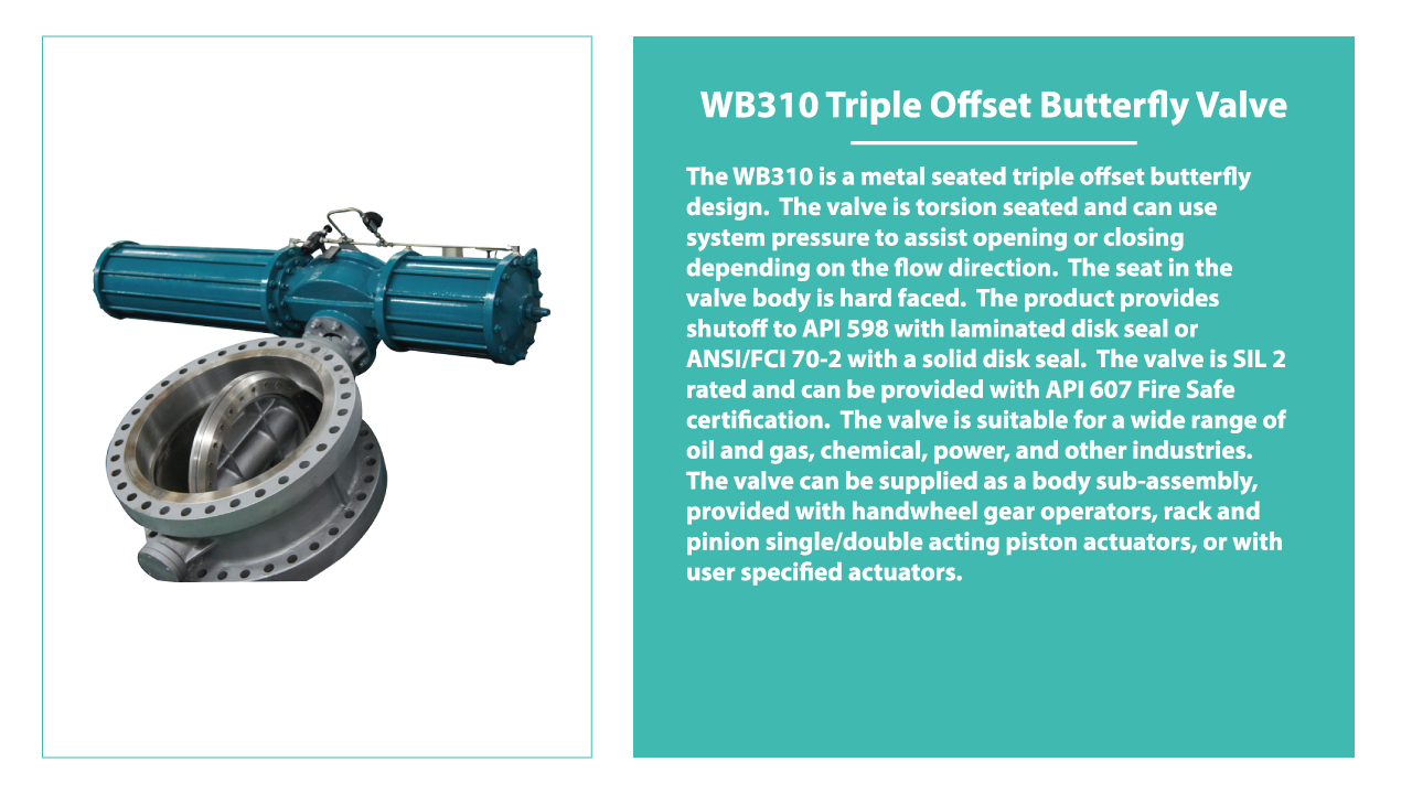 wb310-triple-offset-butterfly-valve.png