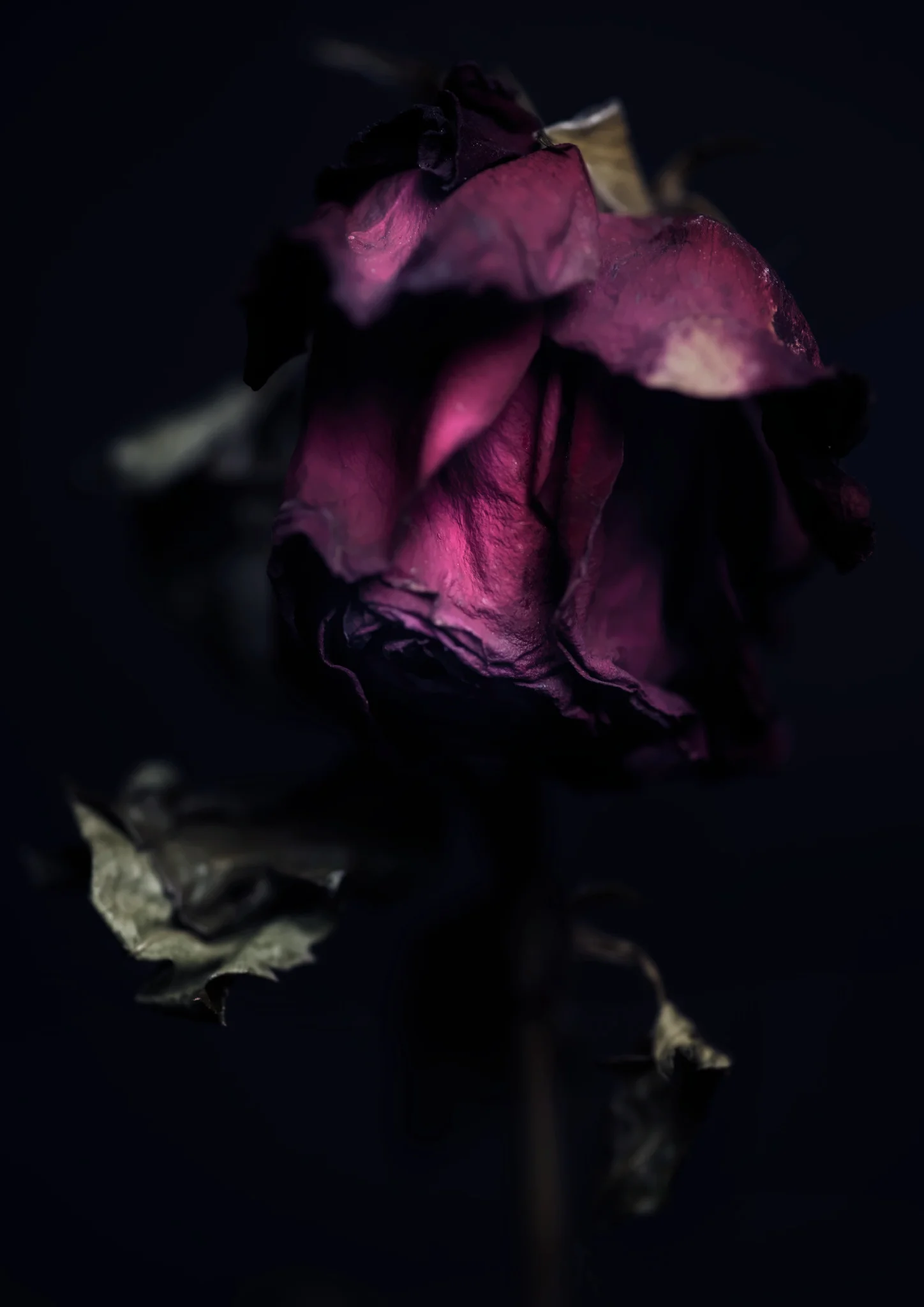 FLOWER_preview.jpg