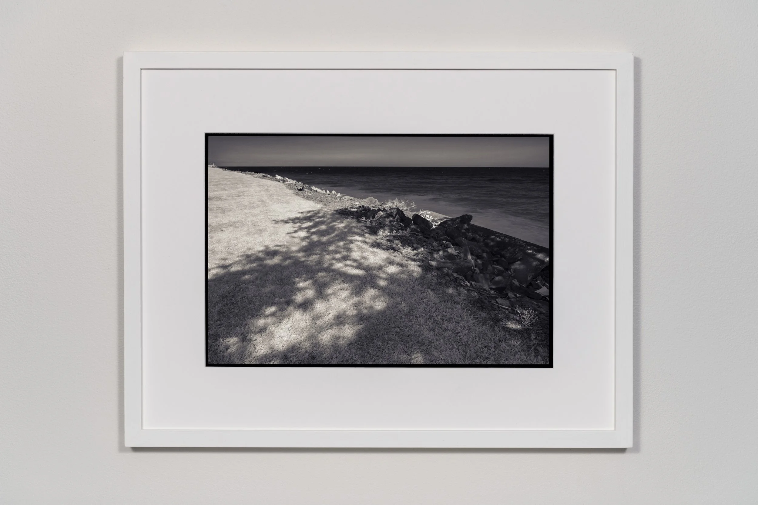 237-framed-10x15.jpg