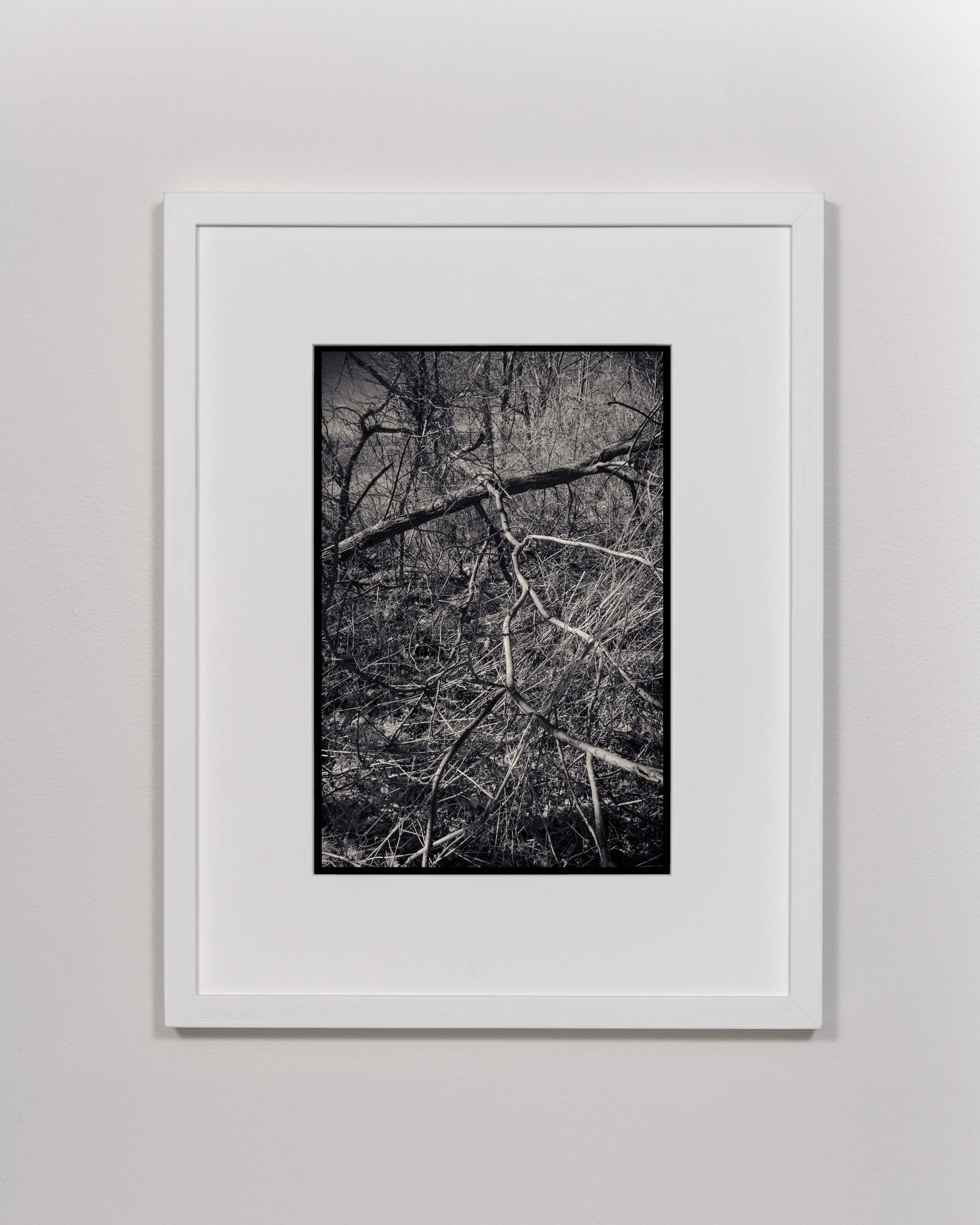 188-framed-8x12.jpg